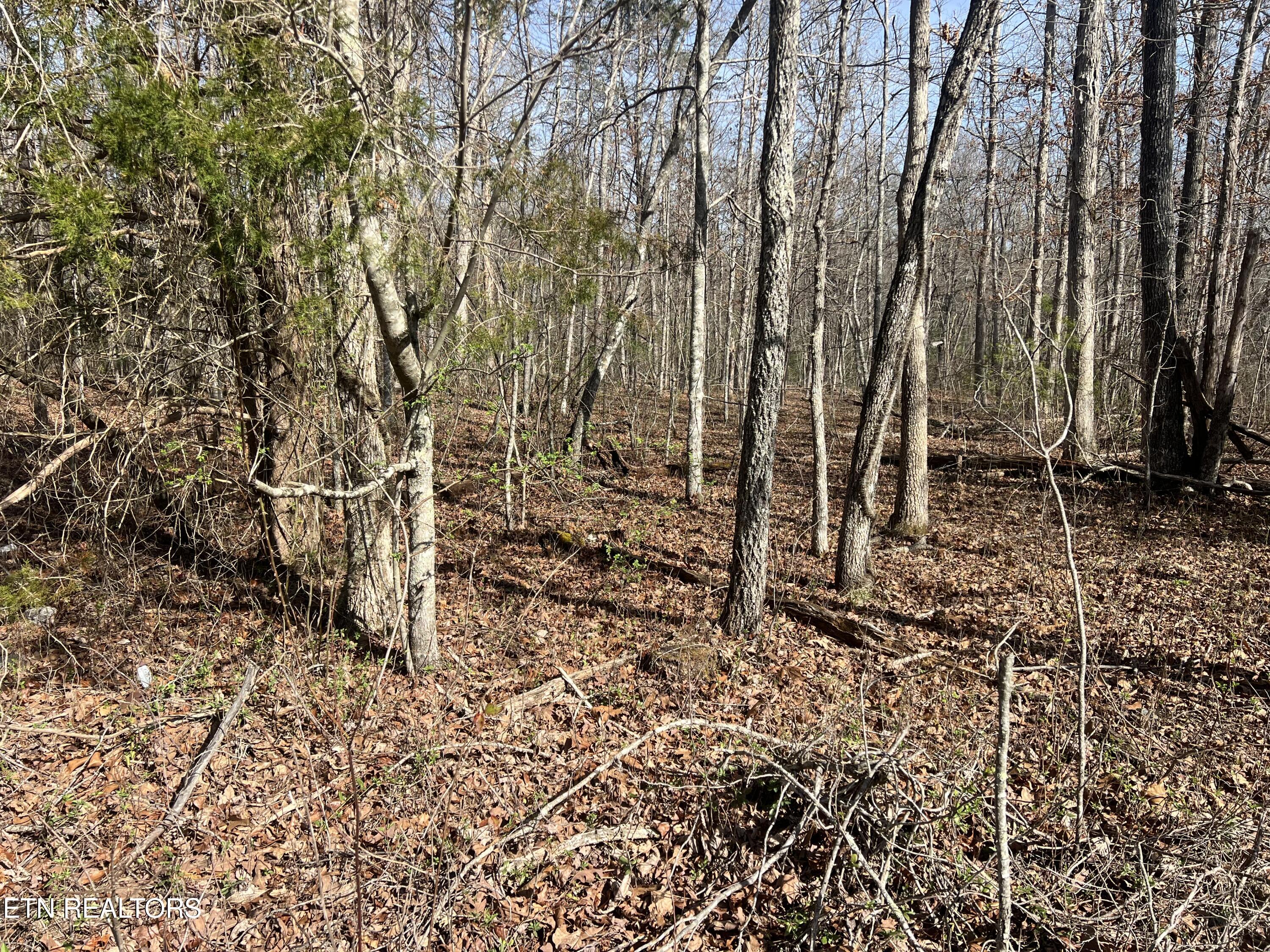 8921 Cherokee Trail Crossville TN 38572