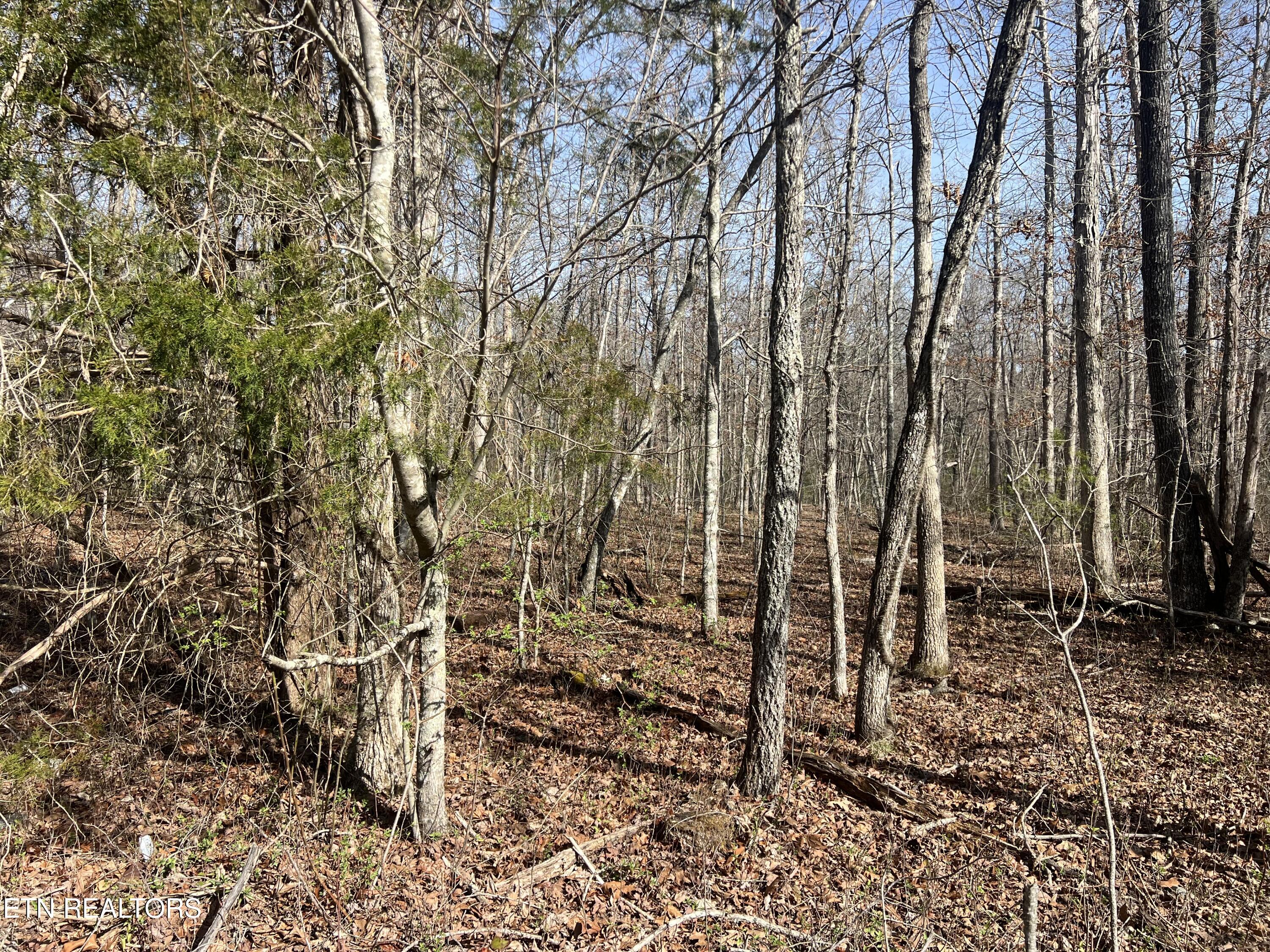 8921 Cherokee Trail Crossville TN 38572
