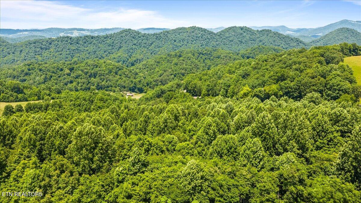 Tract 6 Bundren Mountain Road Tazewell TN 37879