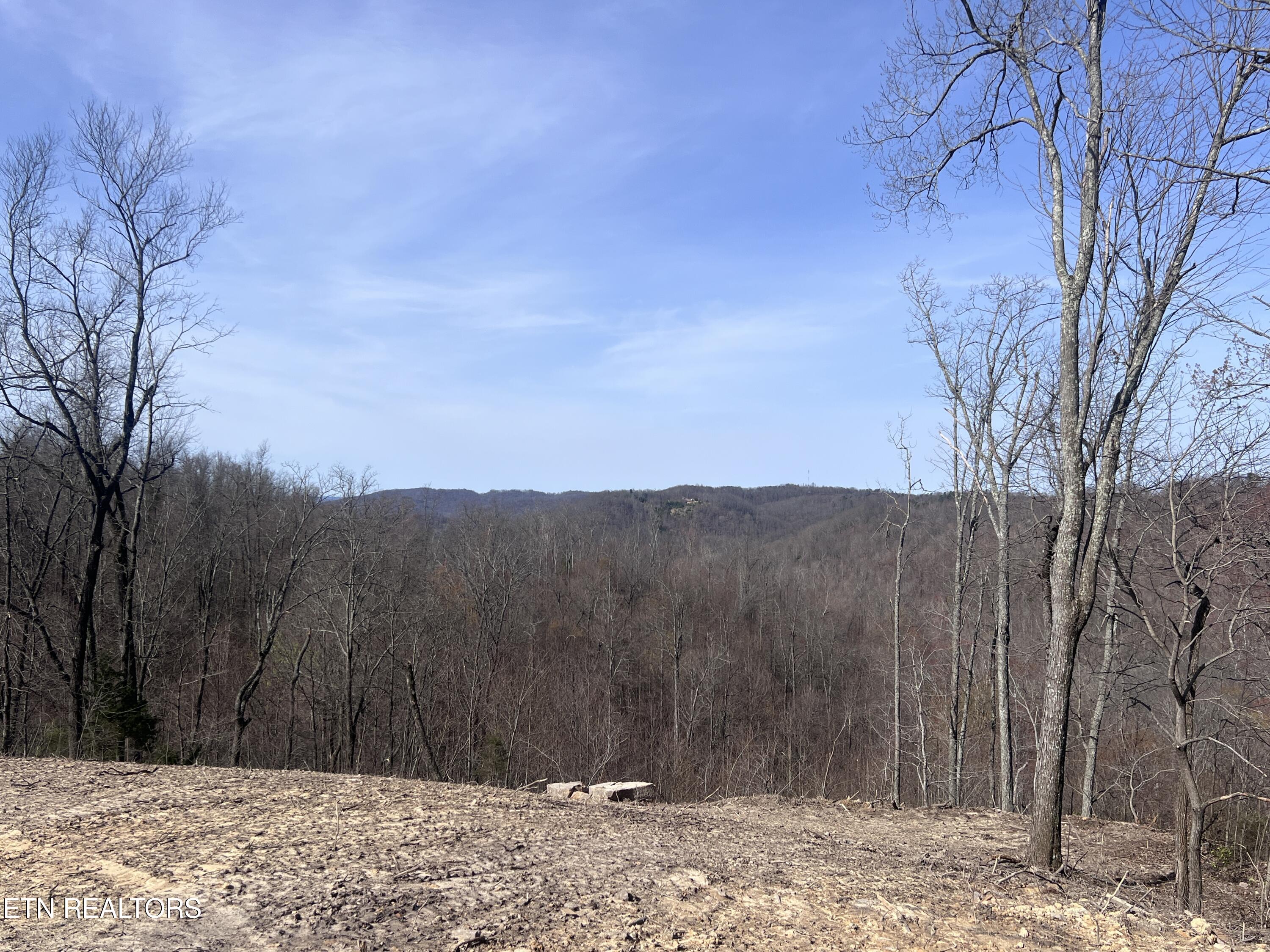 4575 Upper Crab Road Jamestown TN 38556