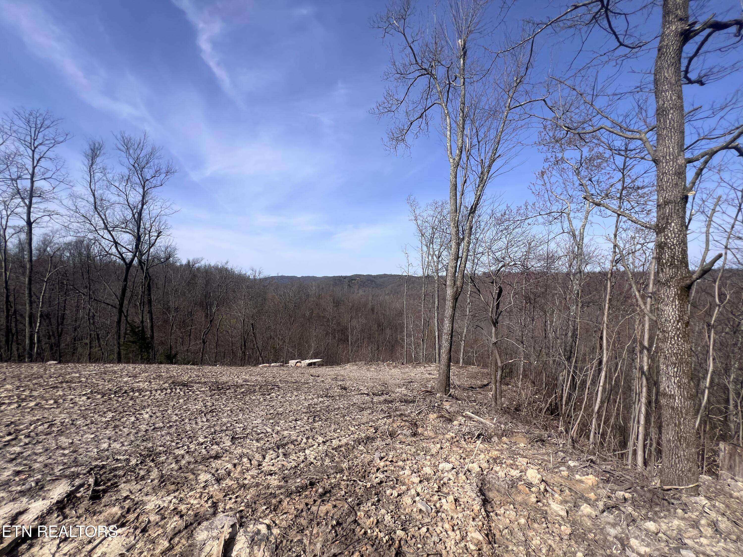 4575 Upper Crab Road Jamestown TN 38556