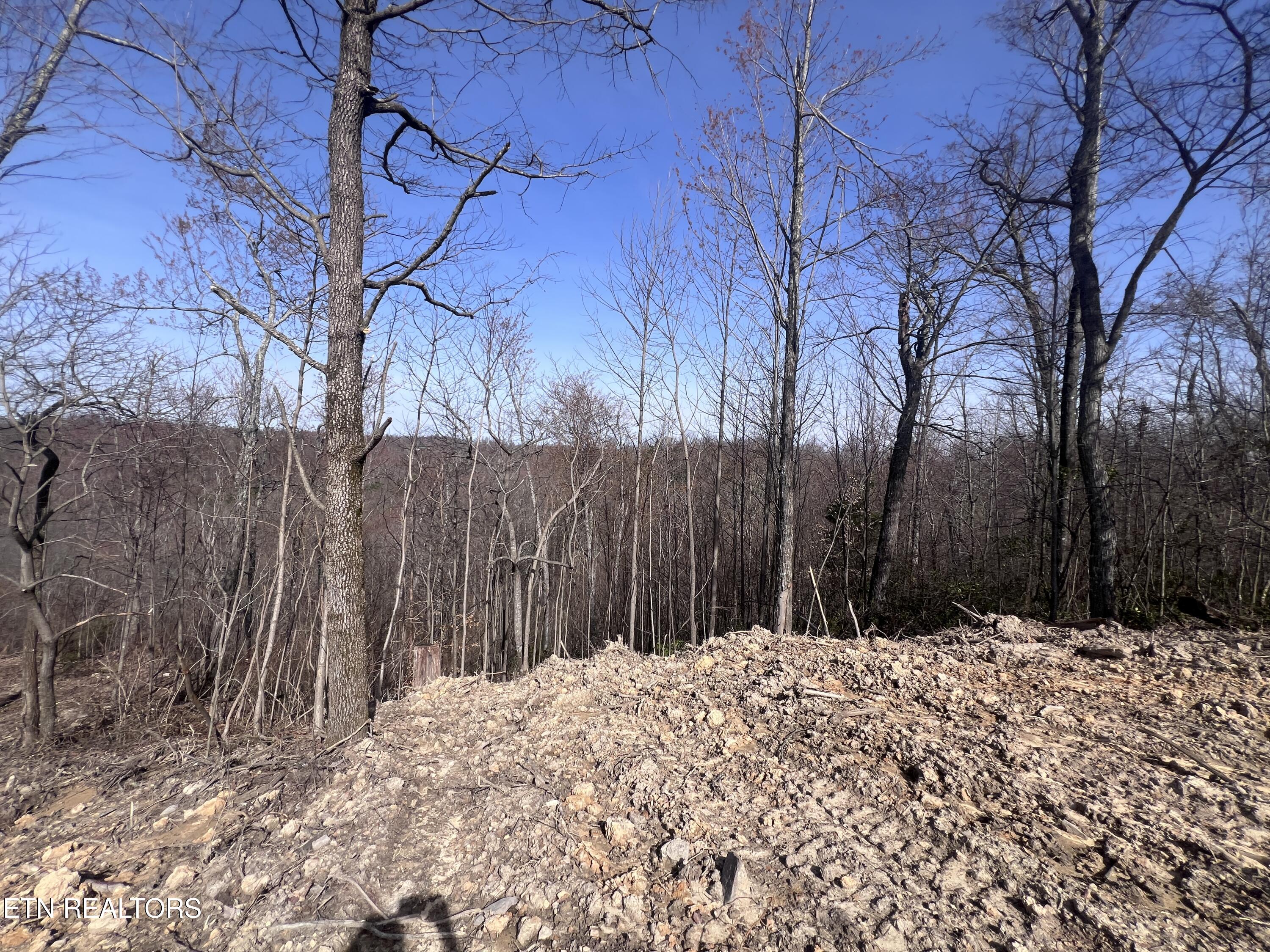 4575 Upper Crab Road Jamestown TN 38556