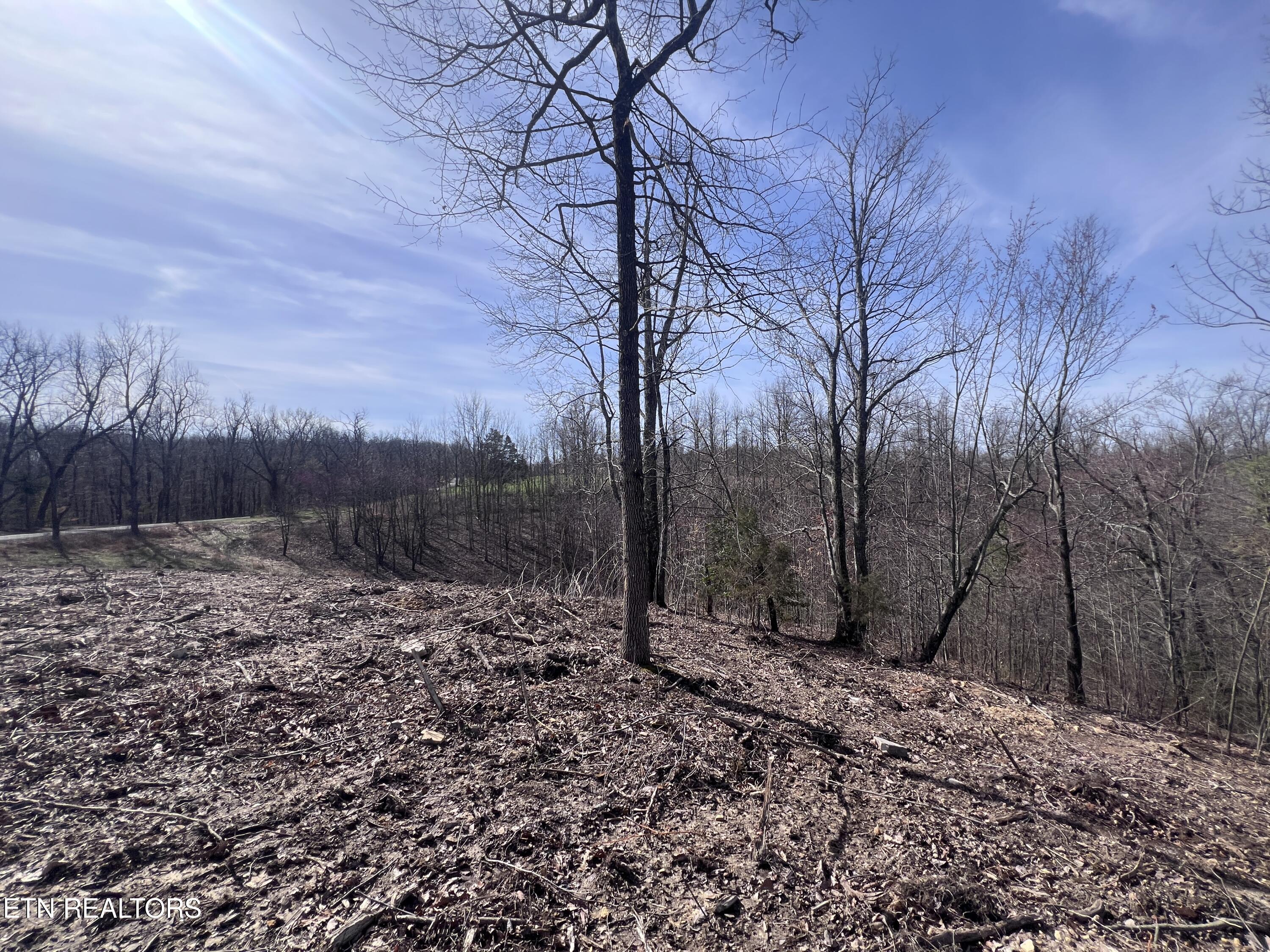 4575 Upper Crab Road Jamestown TN 38556