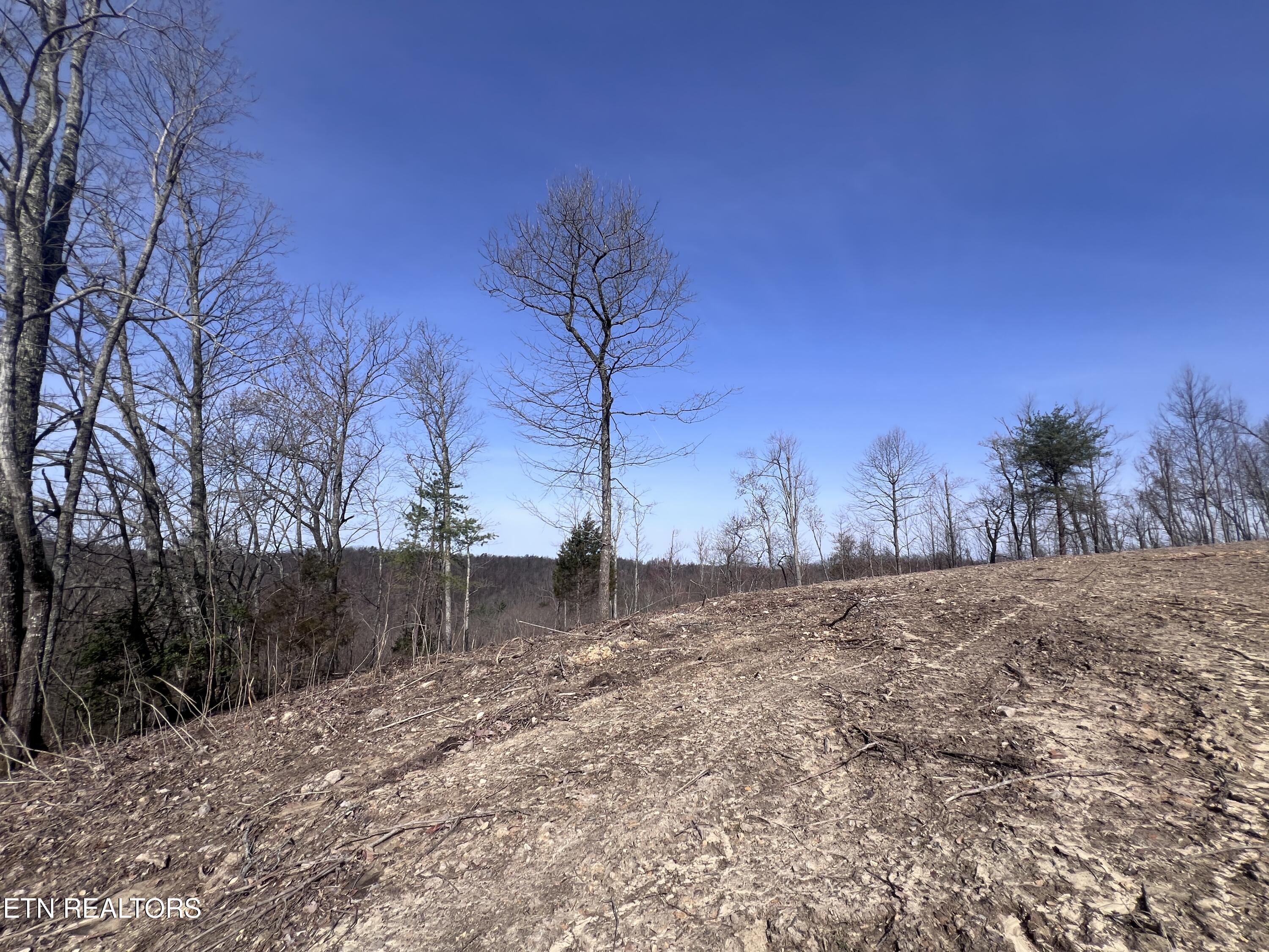 4575 Upper Crab Road Jamestown TN 38556