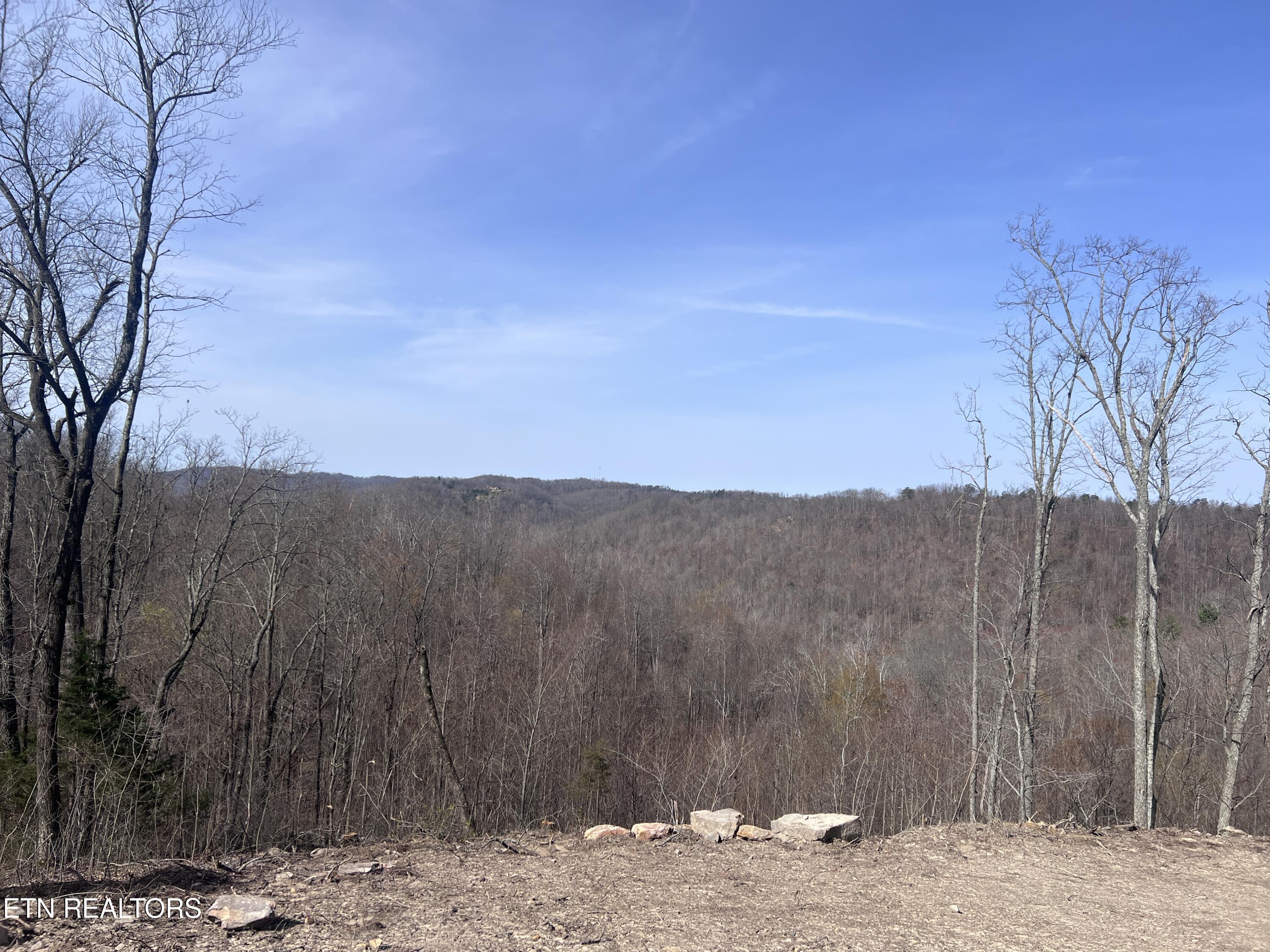 4575 Upper Crab Road Jamestown TN 38556