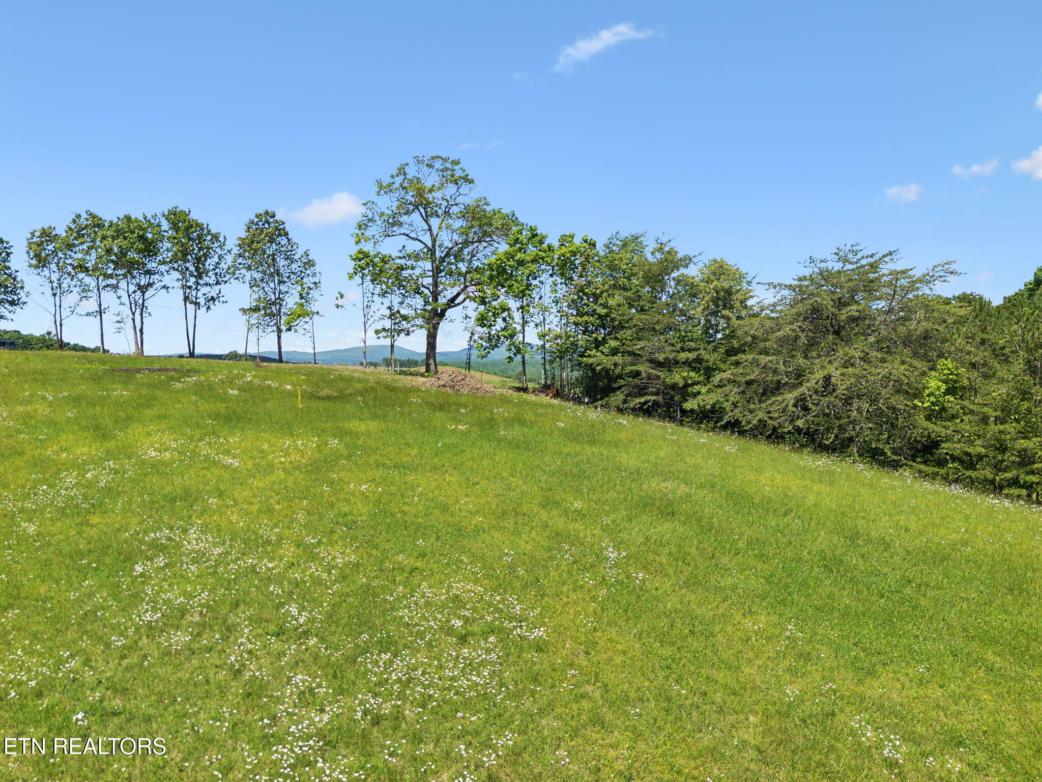1460 Big Neck Road Grandview TN 37337