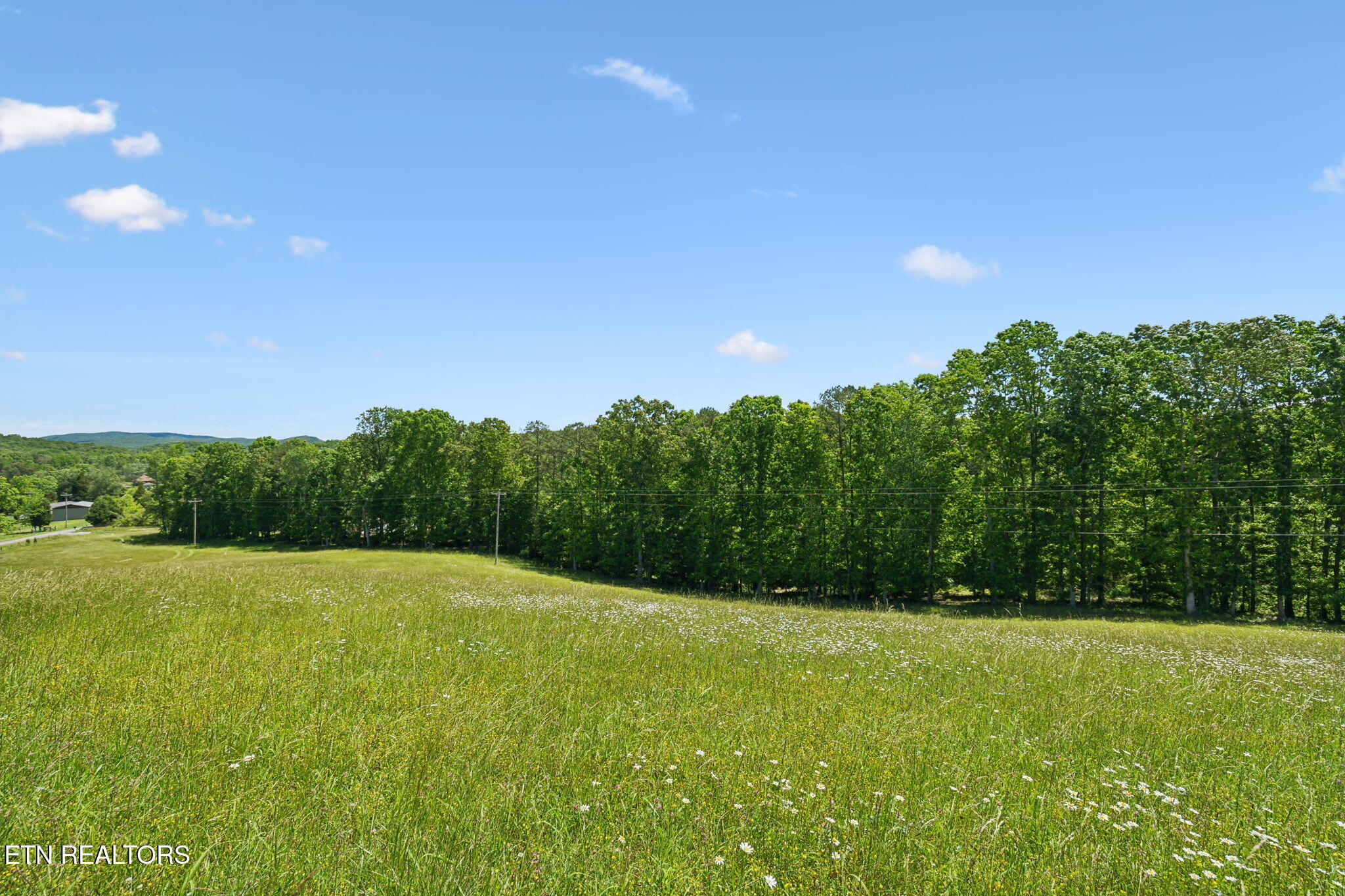 1460 Big Neck Road Grandview TN 37337