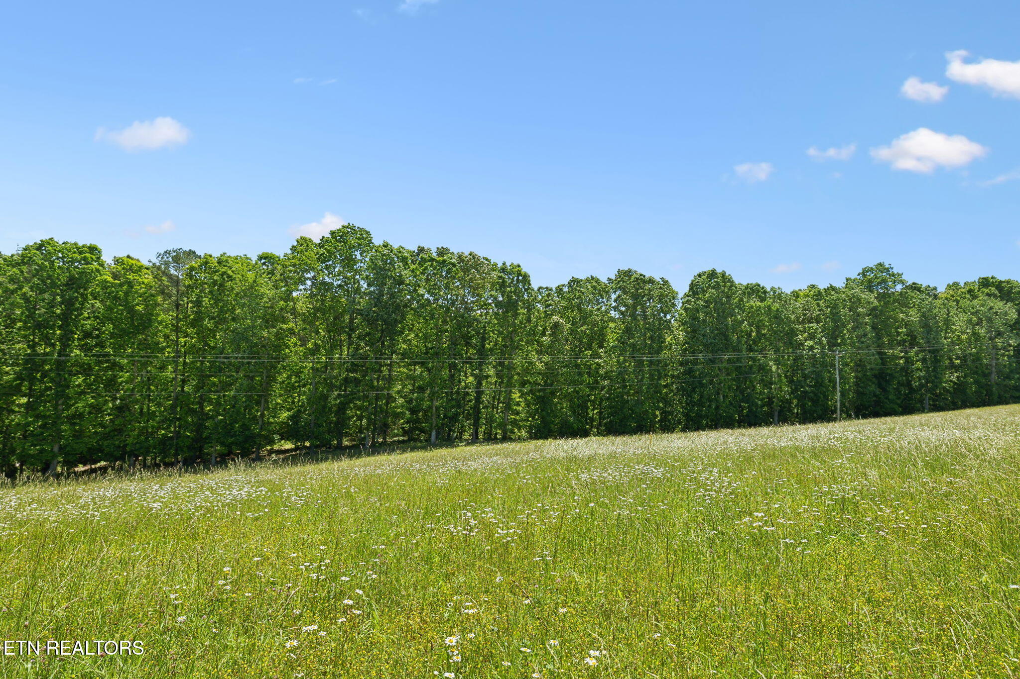 1460 Big Neck Road Grandview TN 37337