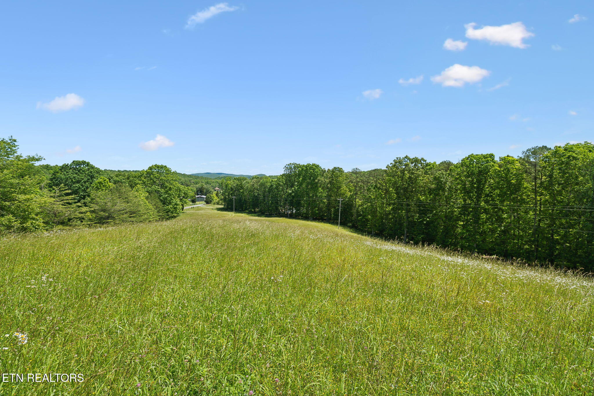 1460 Big Neck Road Grandview TN 37337