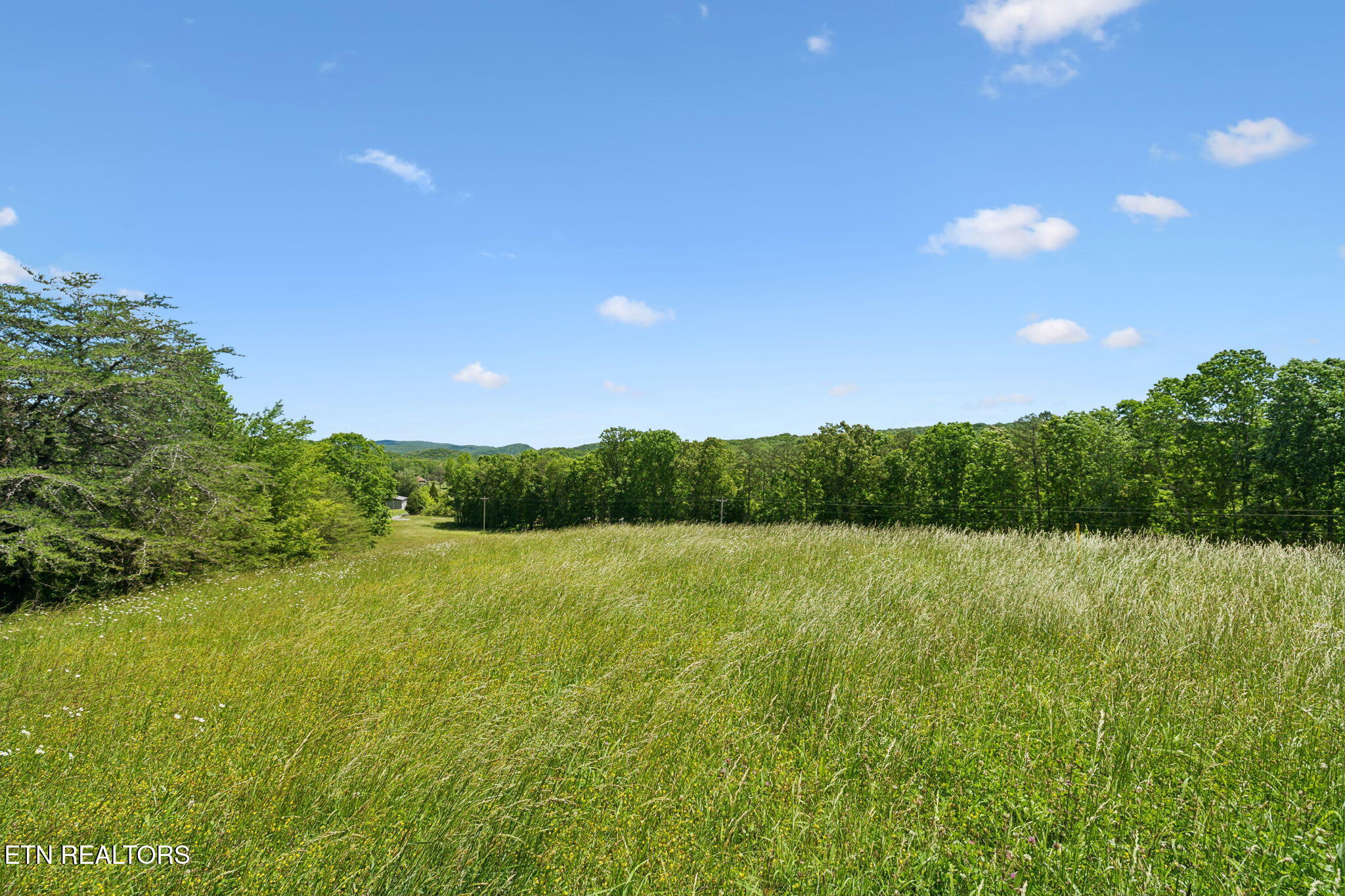 1460 Big Neck Road Grandview TN 37337
