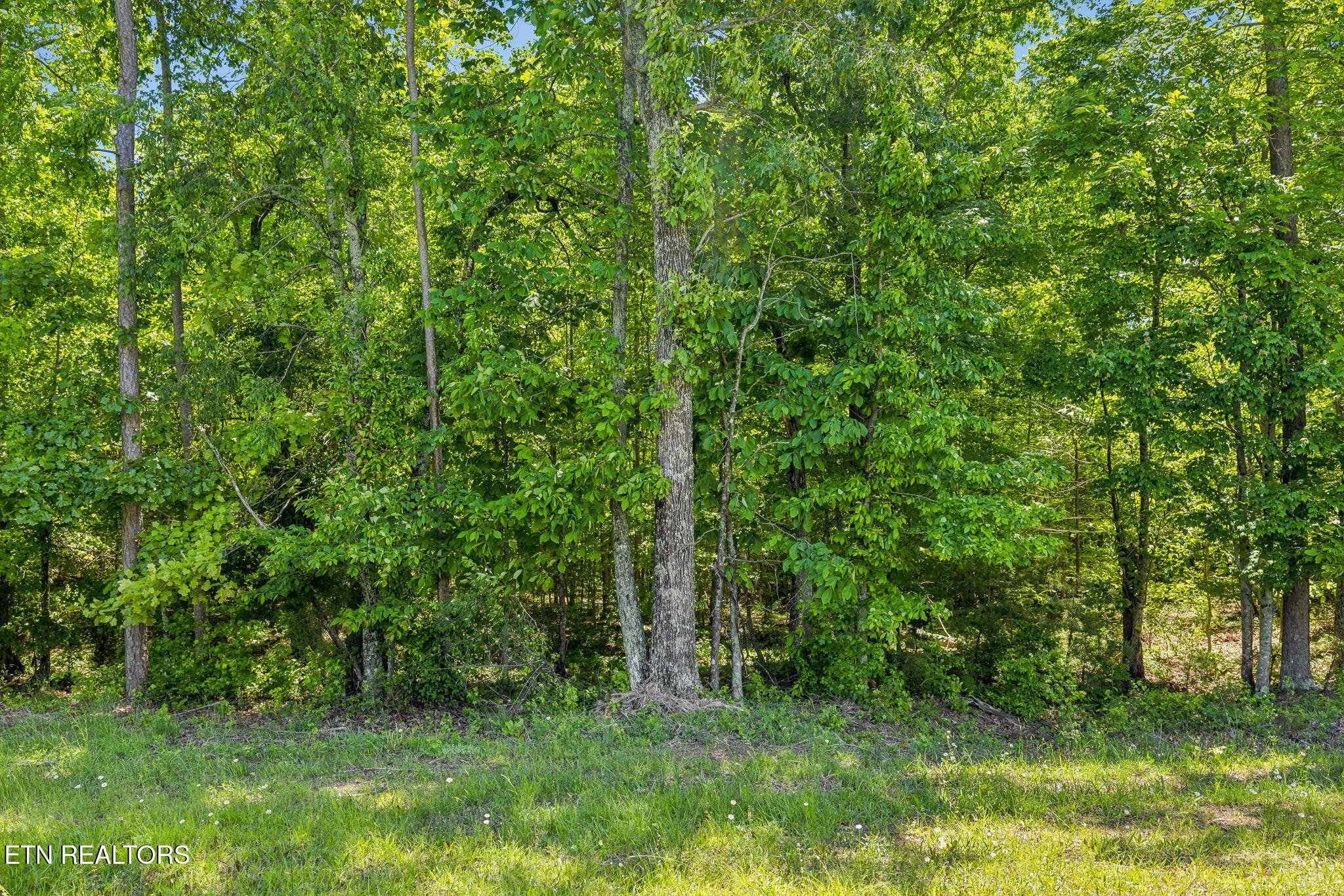 1460 Big Neck Road Grandview TN 37337