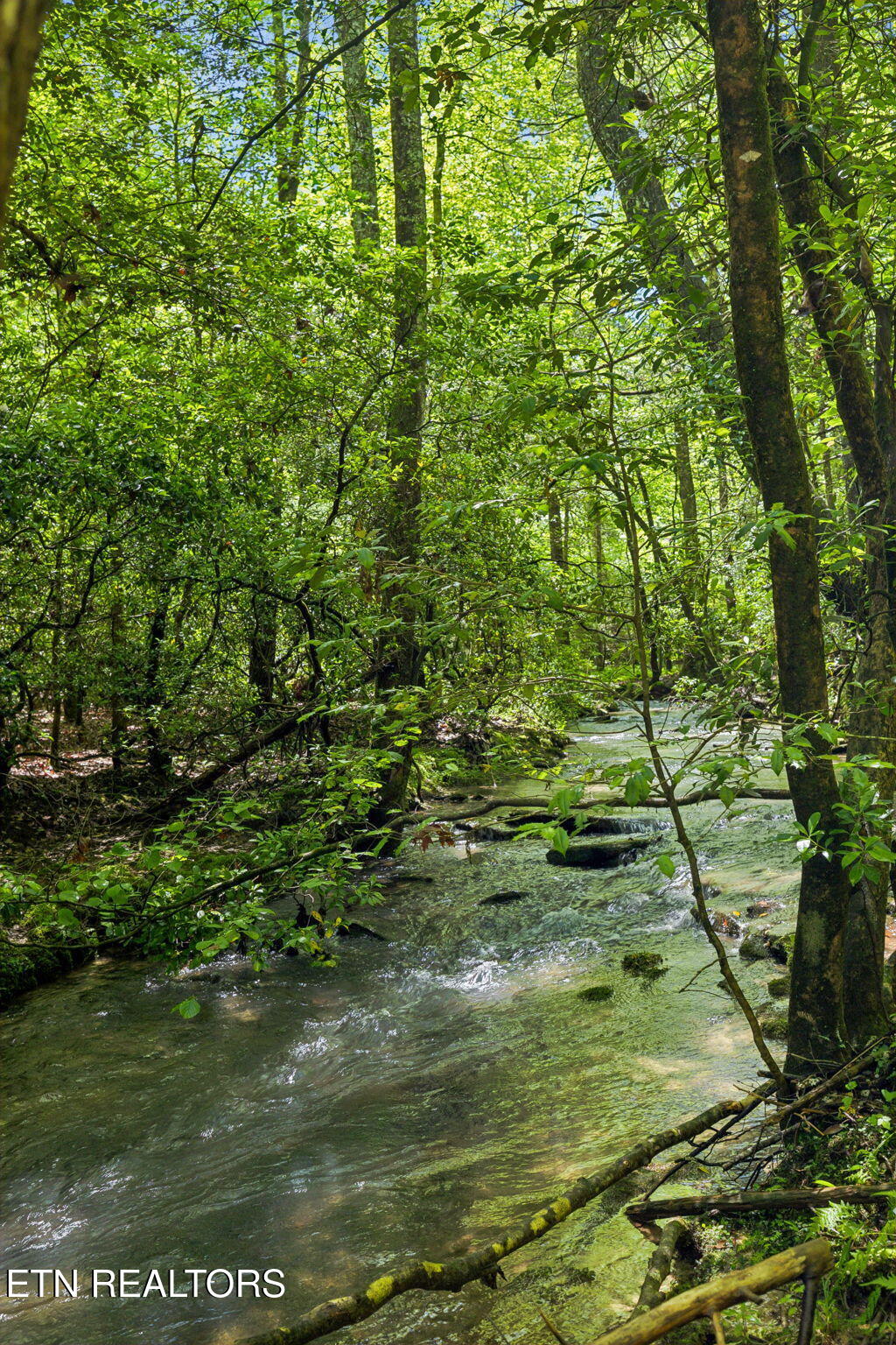 1460 Big Neck Road Grandview TN 37337