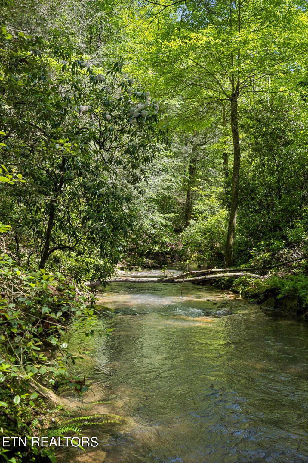 1460 Big Neck Road Grandview TN 37337