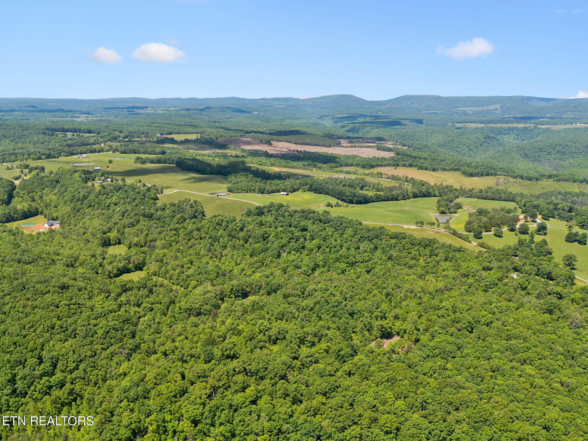 1460 Big Neck Road Grandview TN 37337
