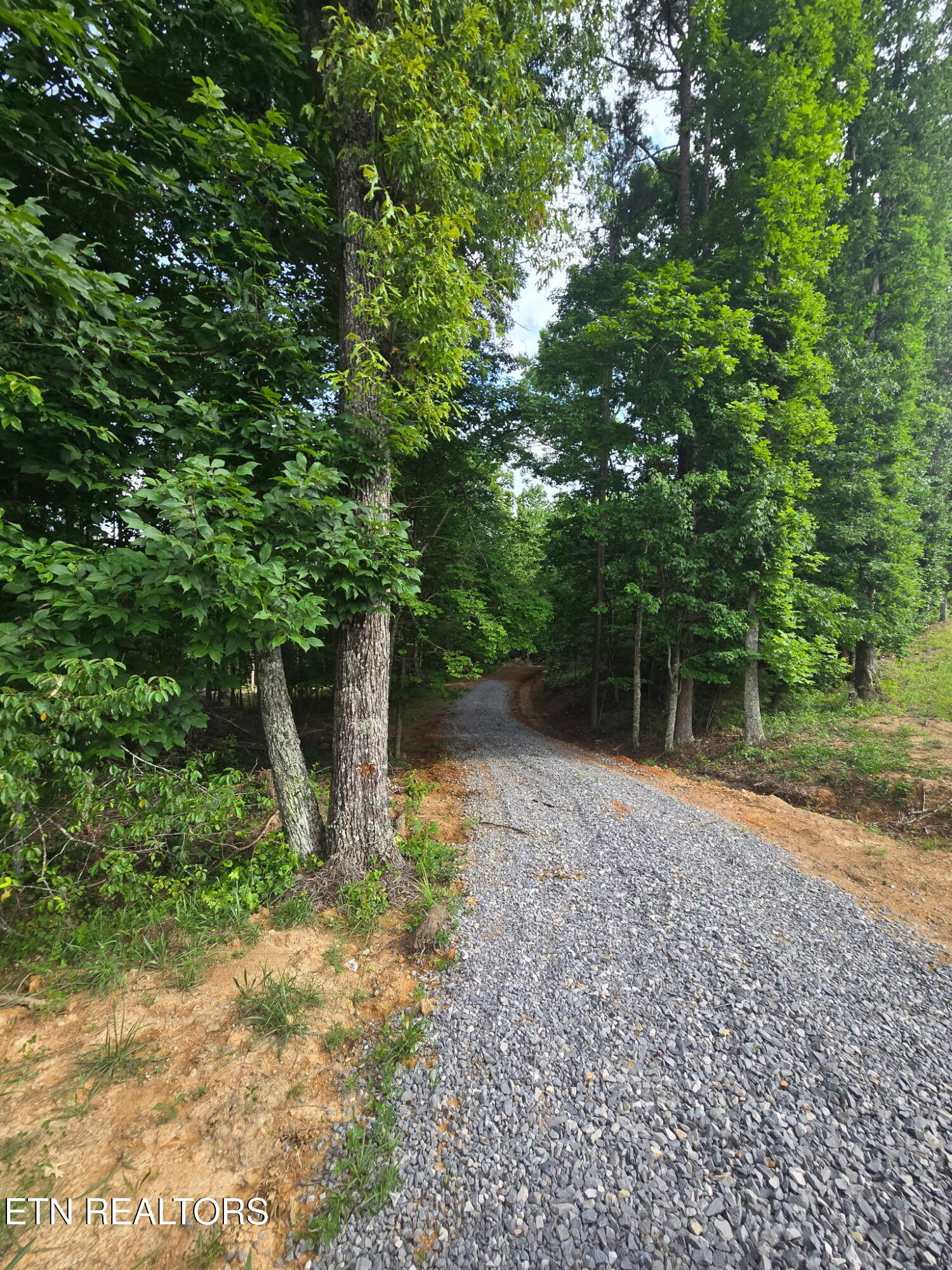 1460 Big Neck Road Grandview TN 37337