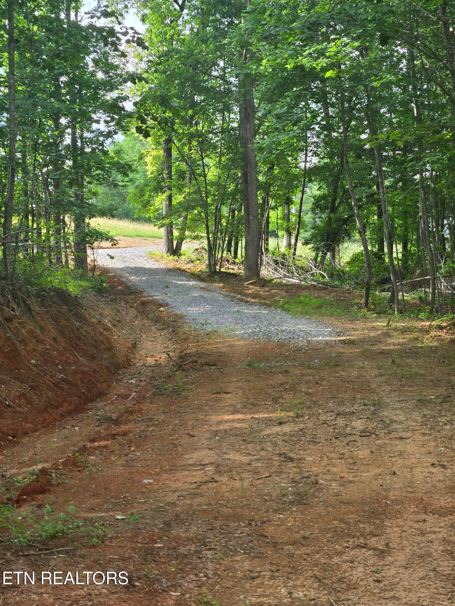 1460 Big Neck Road Grandview TN 37337