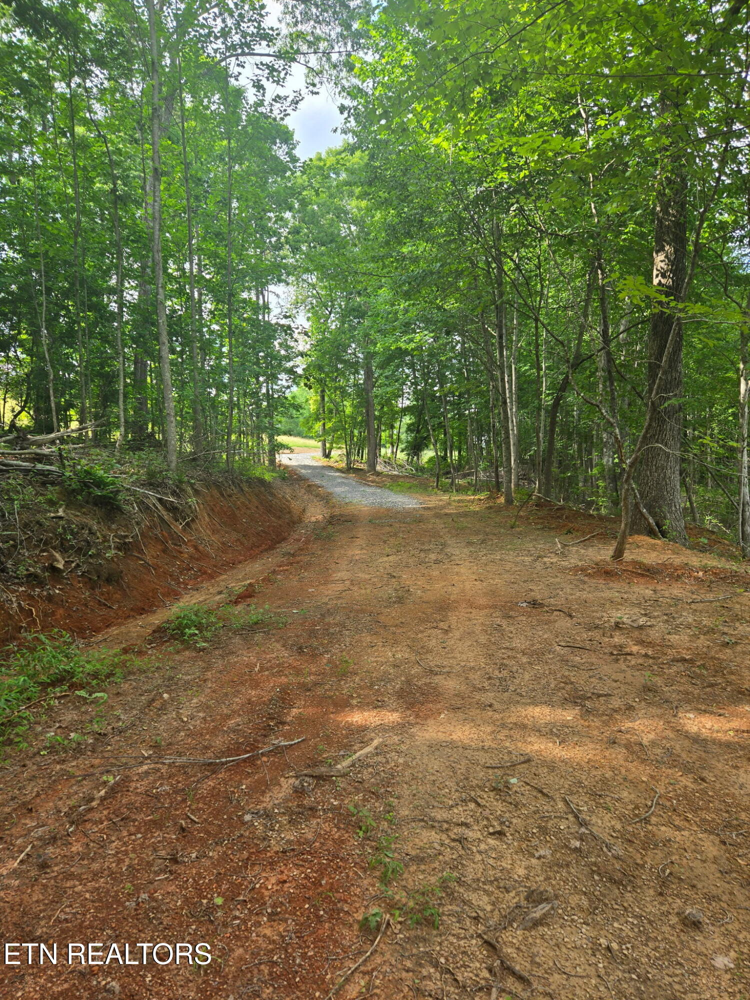 1460 Big Neck Road Grandview TN 37337