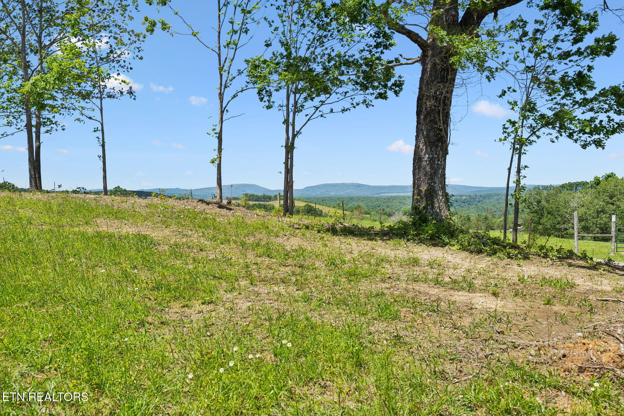 1460 Big Neck Road Grandview TN 37337