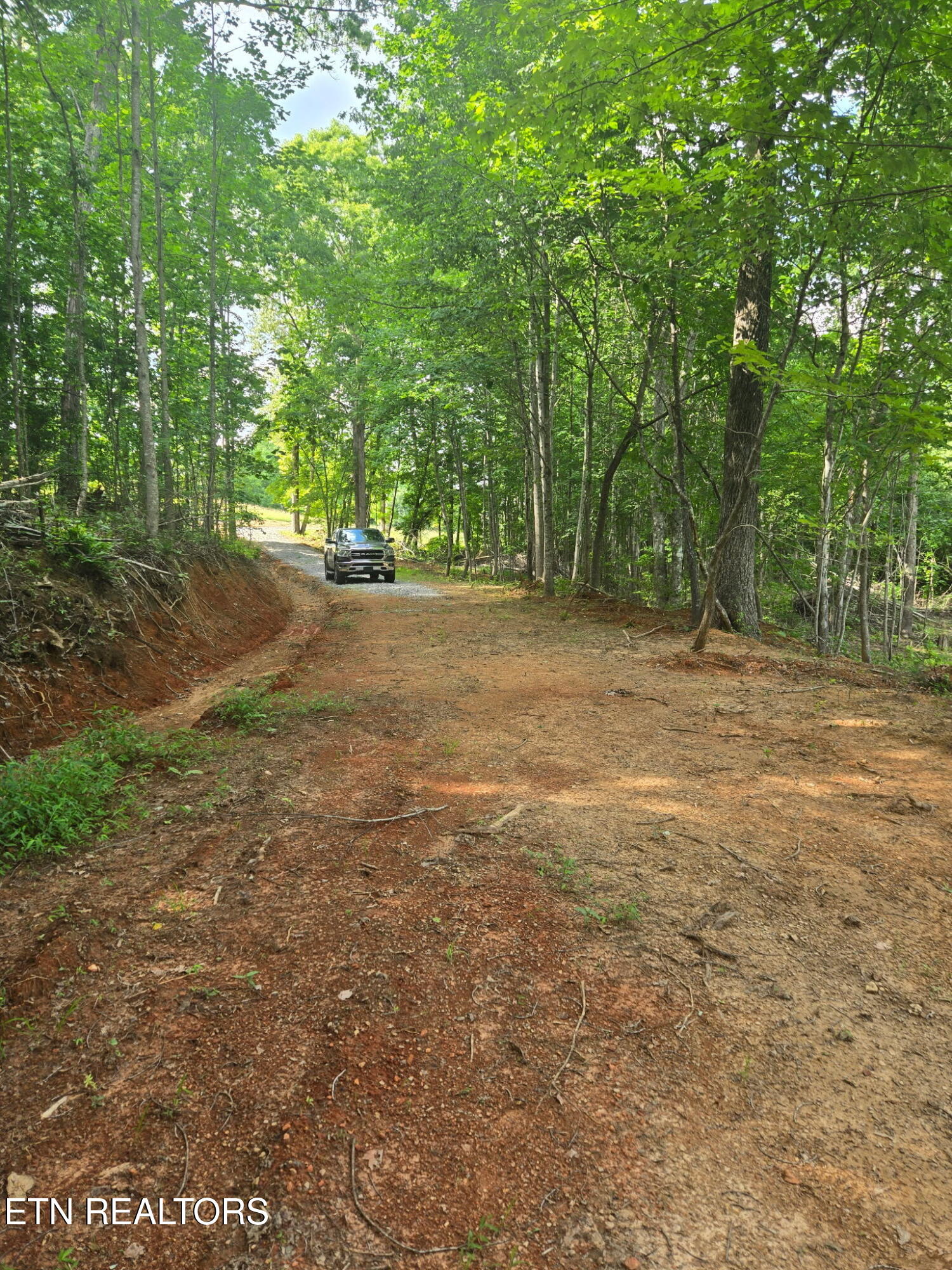 1460 Big Neck Road Grandview TN 37337