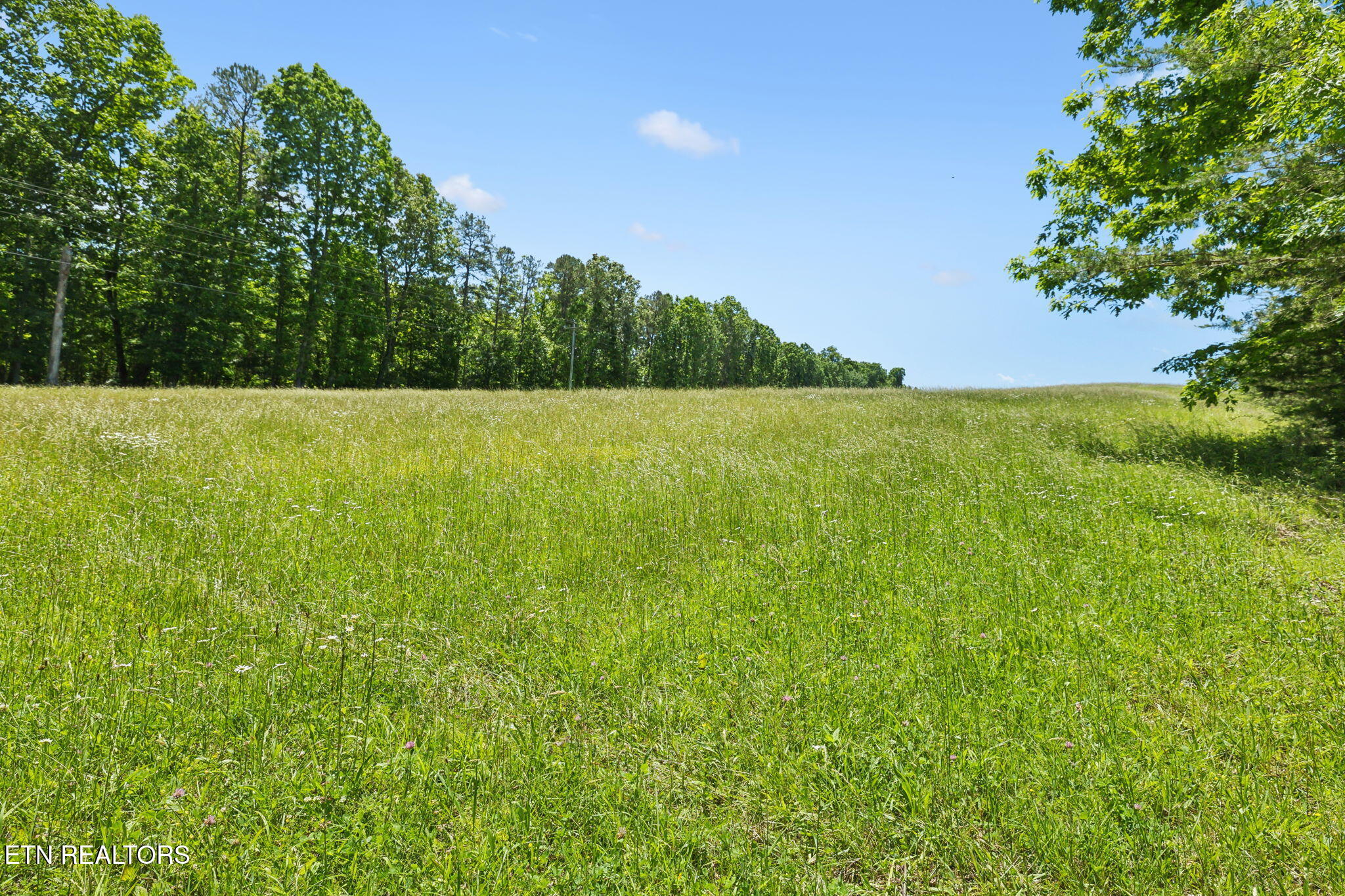 1460 Big Neck Road Grandview TN 37337