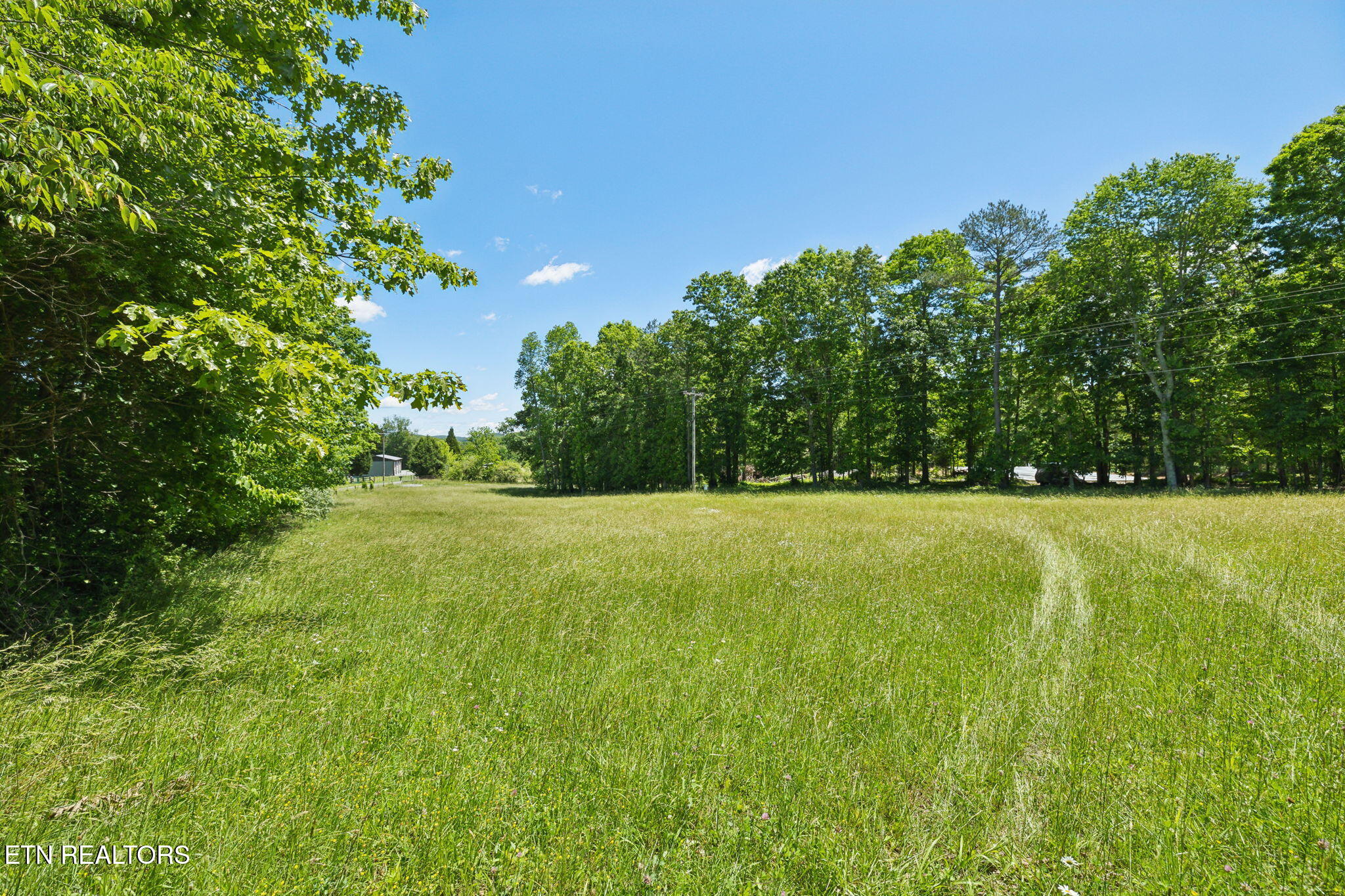 1460 Big Neck Road Grandview TN 37337