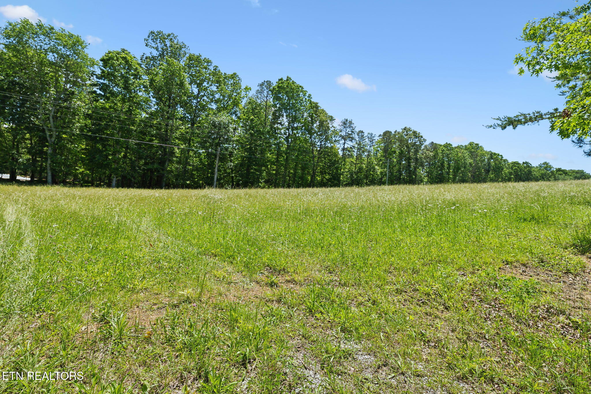 1460 Big Neck Road Grandview TN 37337