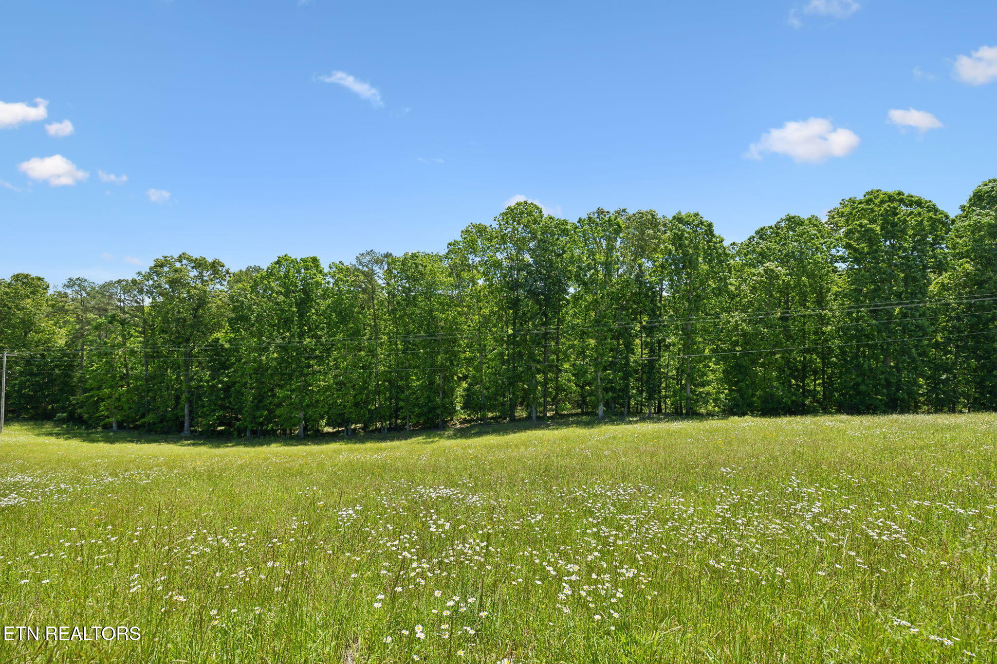 1460 Big Neck Road Grandview TN 37337