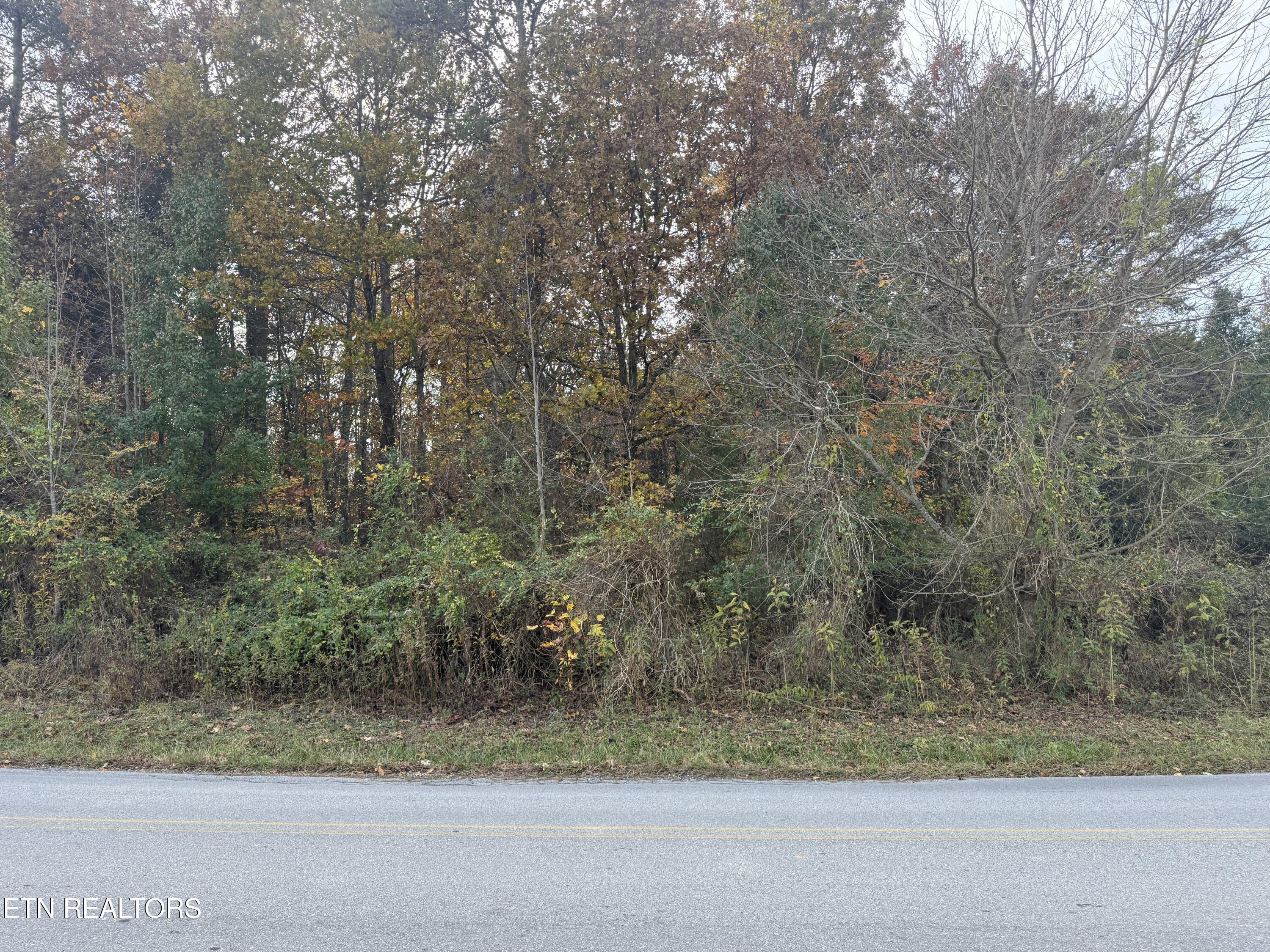 Nina Delozier Road Maryville TN 37804