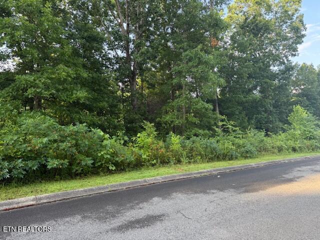 Lot 17 Woodland Creek Drive Dandridge TN 37725