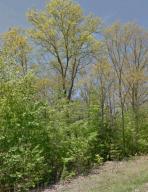 128 Staffordshire Lane Fairfield Glade TN 38558