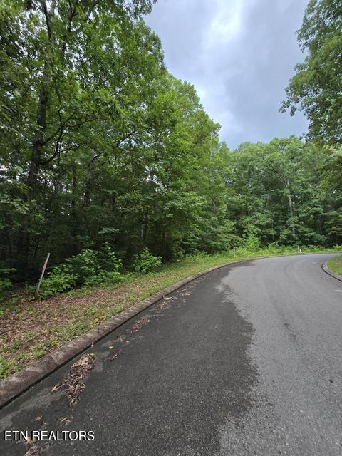Lot 141 Lower Brow Road Dunlap TN 37327
