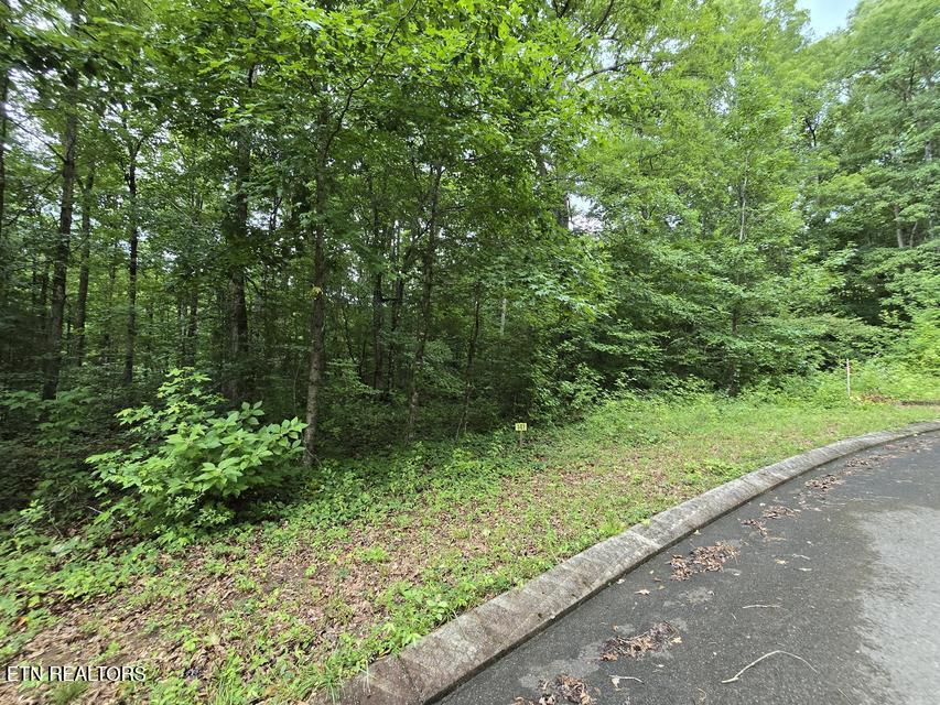 Lot 141 Lower Brow Road Dunlap TN 37327