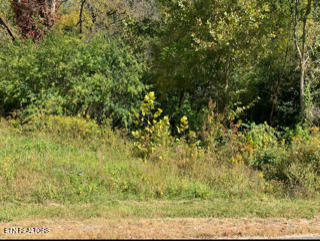 624 Thompson Creek Lane Cookeville TN 38506
