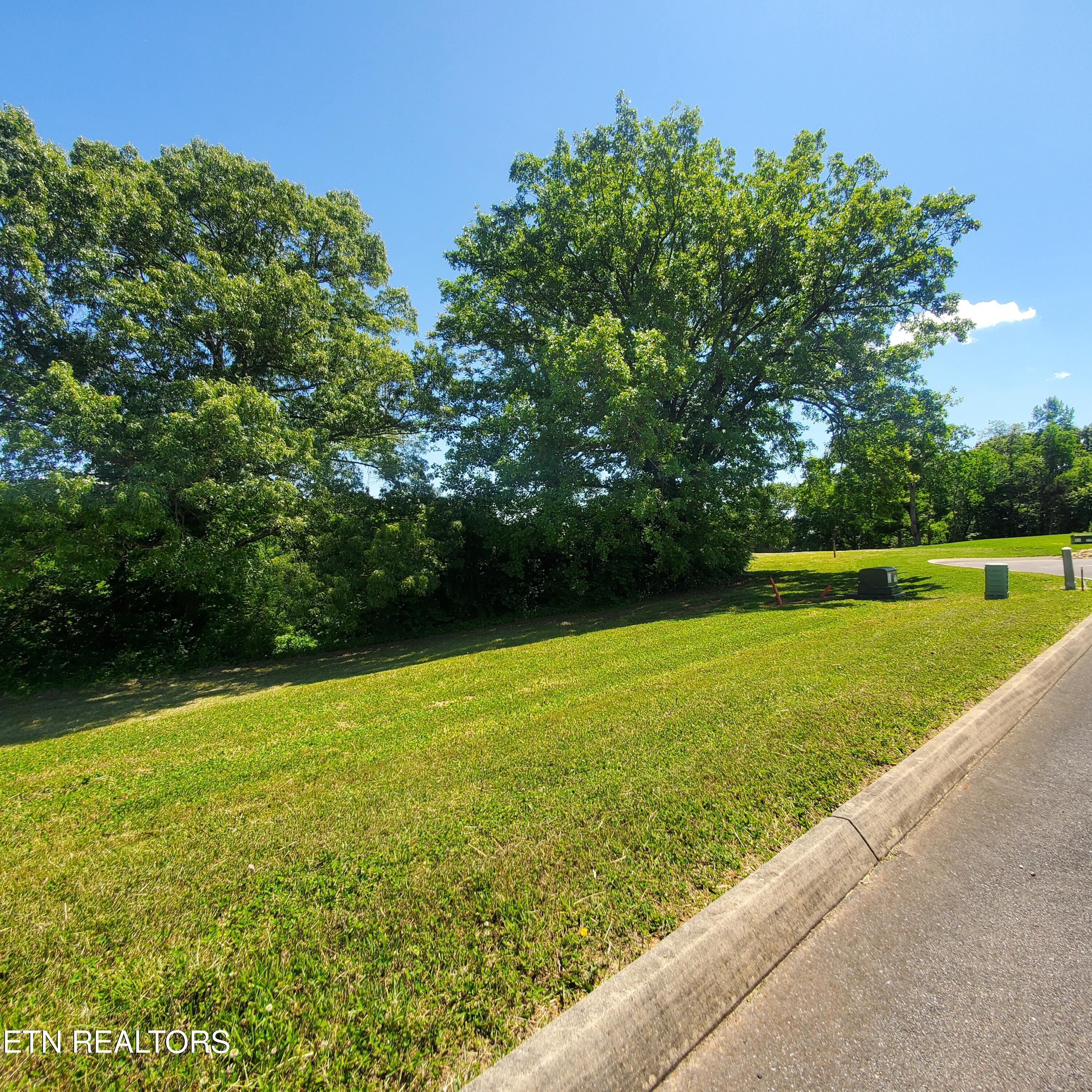 Lot 110 Tumbleweed Trail Rutledge TN 37861