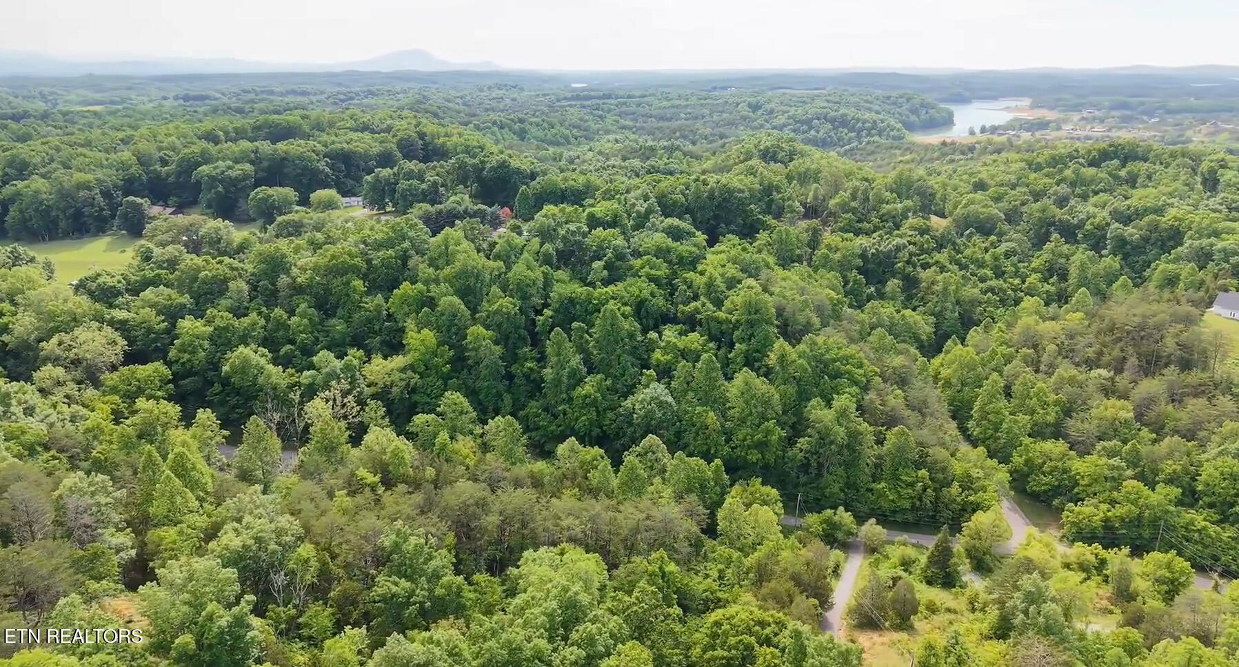 Pheasant Court Sevierville TN 37876