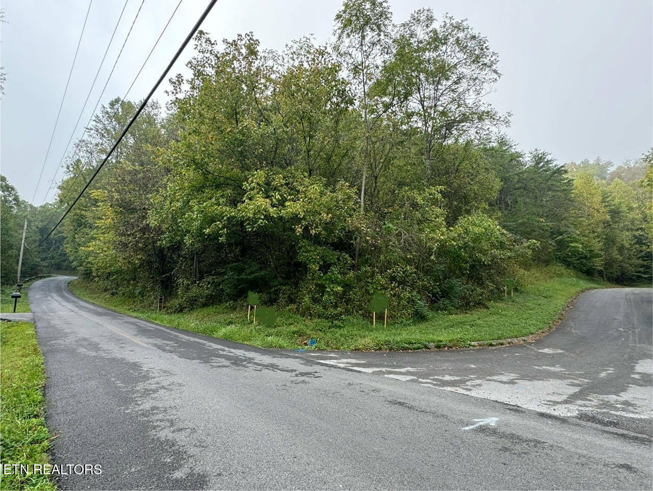 Pheasant Court Sevierville TN 37876