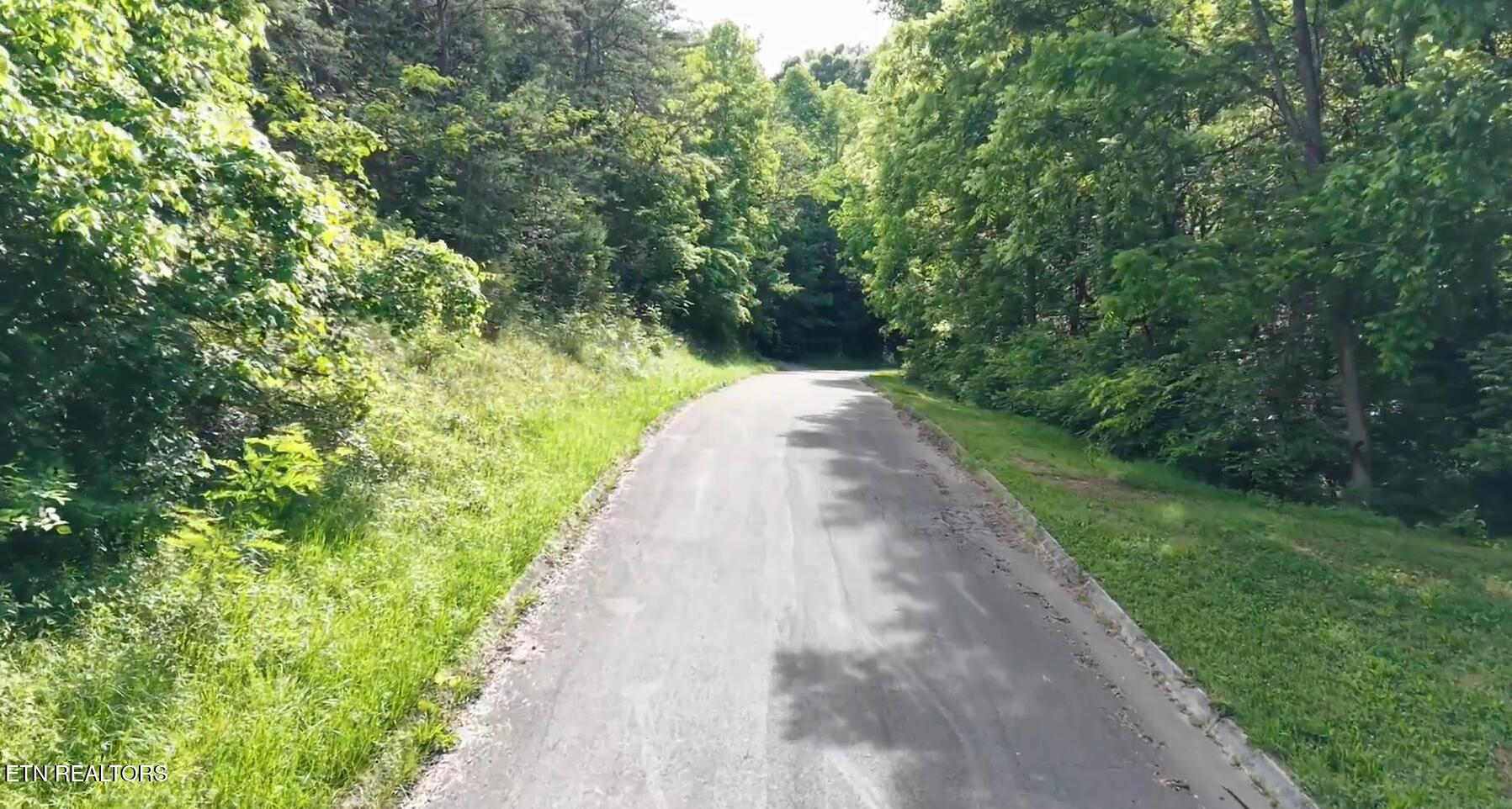 Pheasant Court Sevierville TN 37876