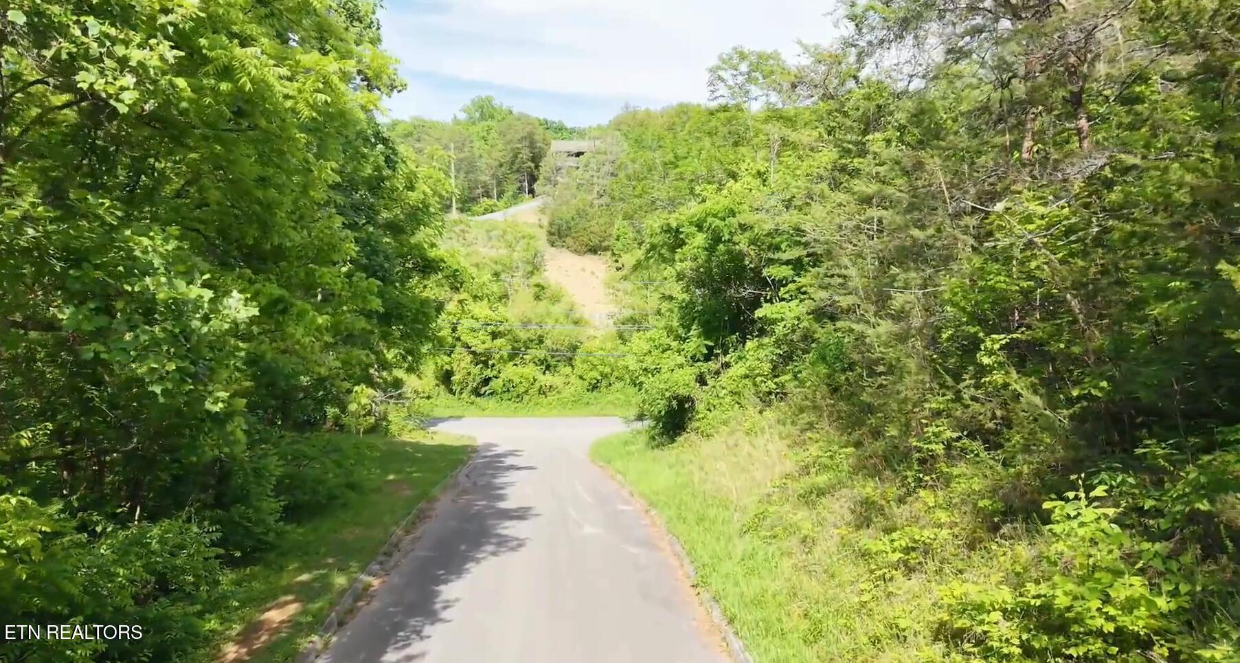 Pheasant Court Sevierville TN 37876