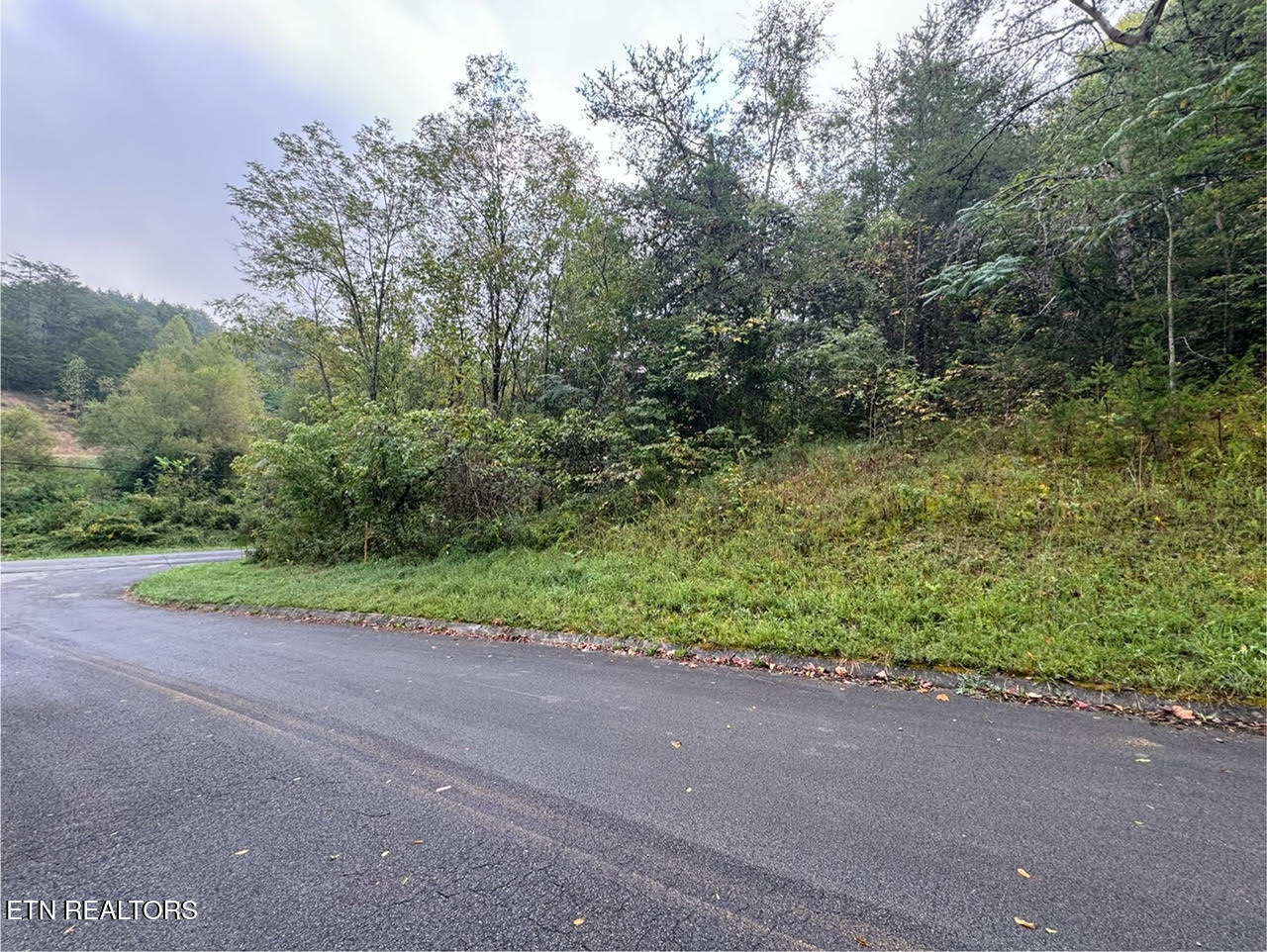 Pheasant Court Sevierville TN 37876