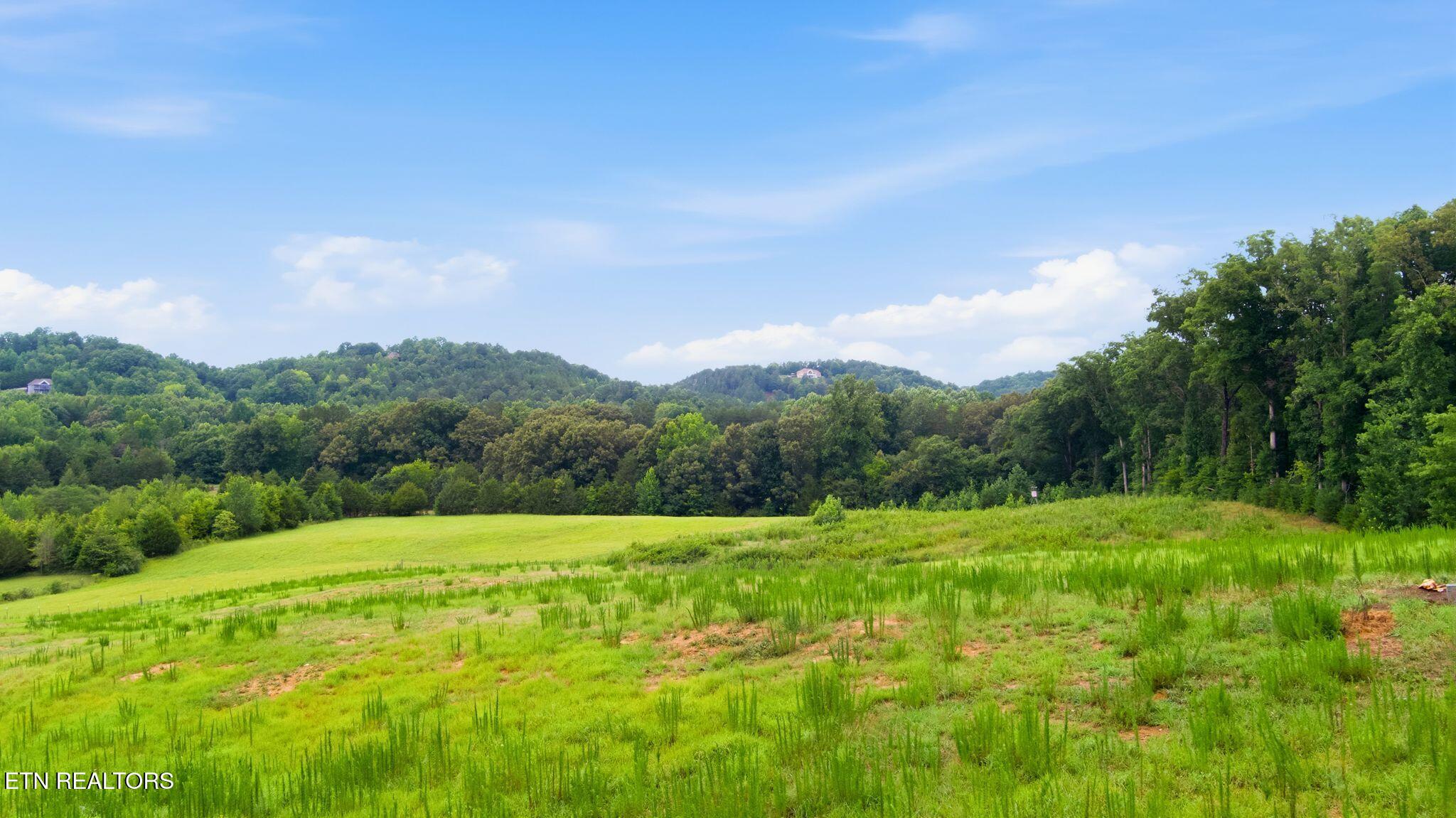 10.1 Acres County Road 757 Riceville TN 37370
