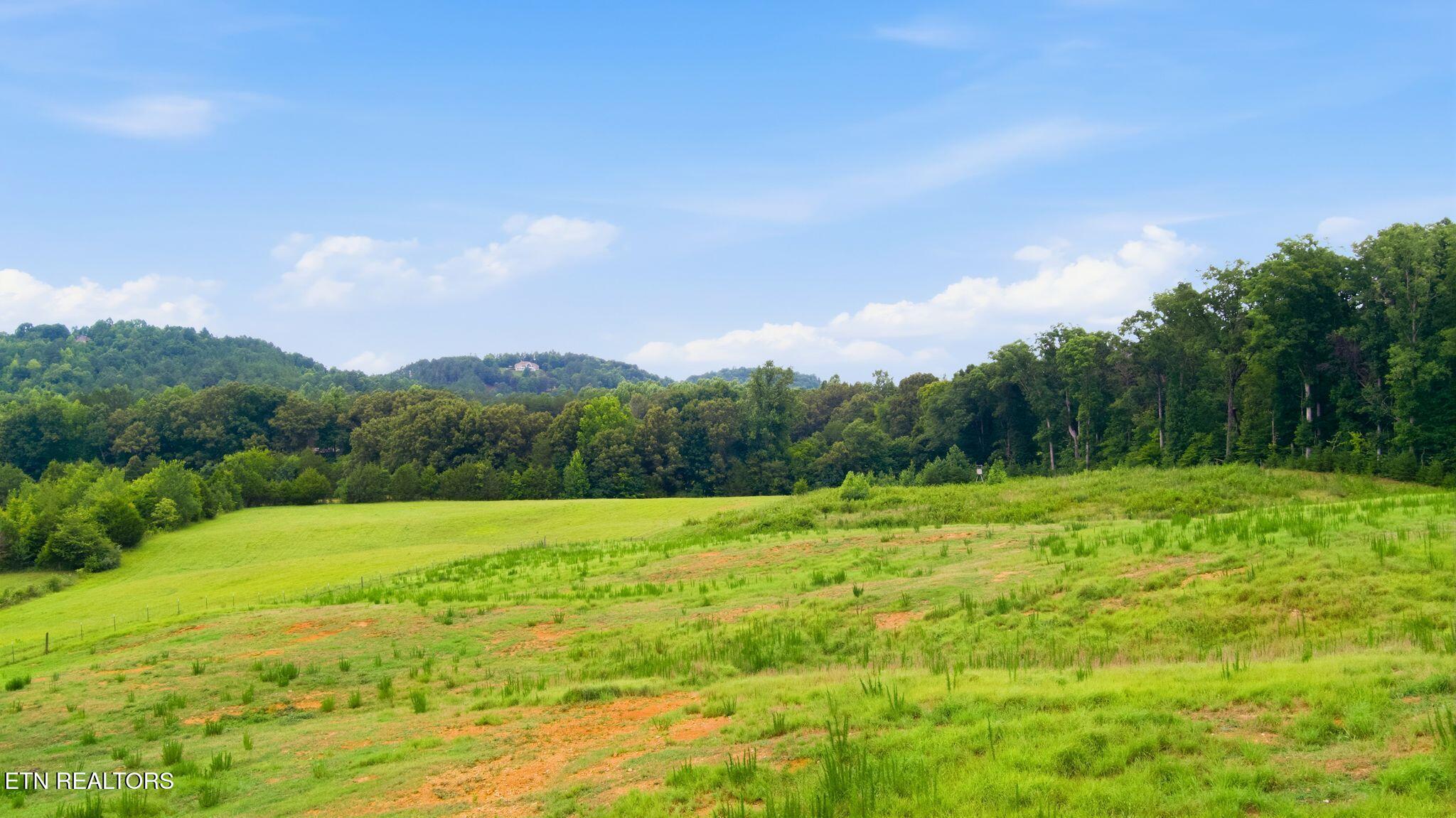 10.1 Acres County Road 757 Riceville TN 37370