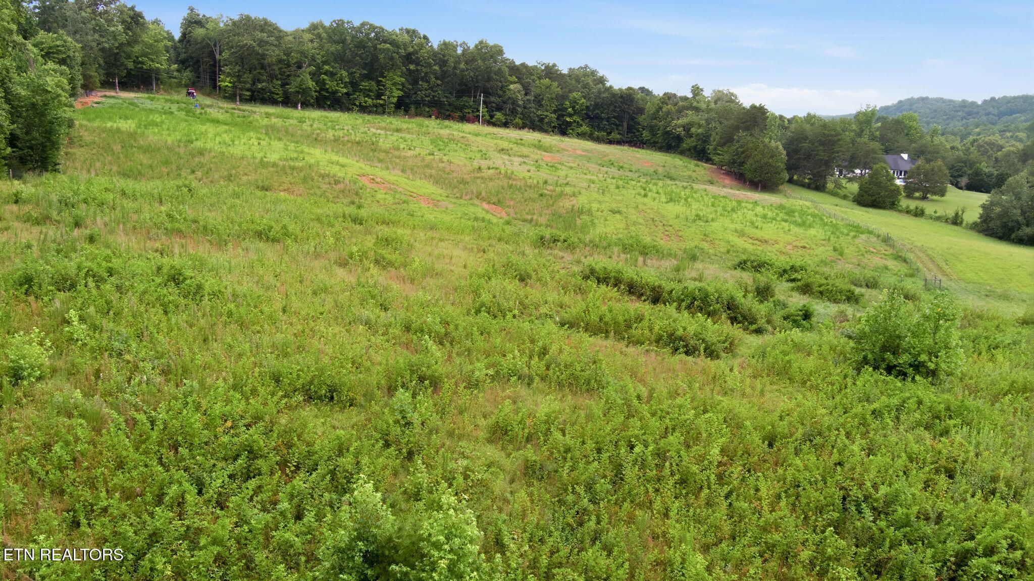 10.1 Acres County Road 757 Riceville TN 37370