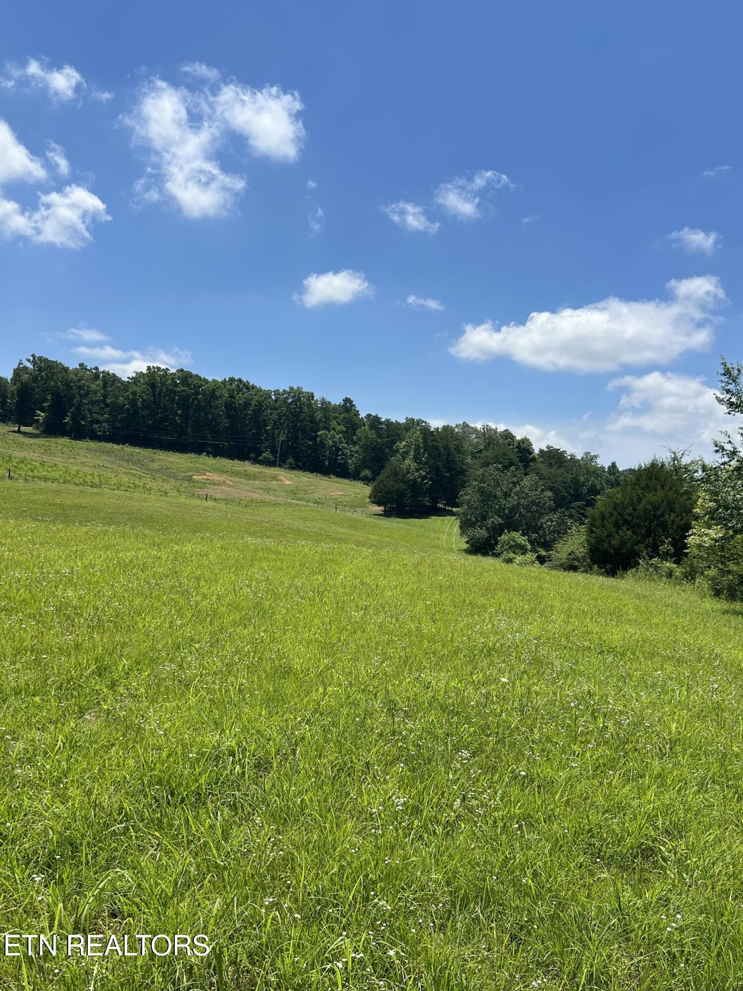 10.1 Acres County Road 757 Riceville TN 37370