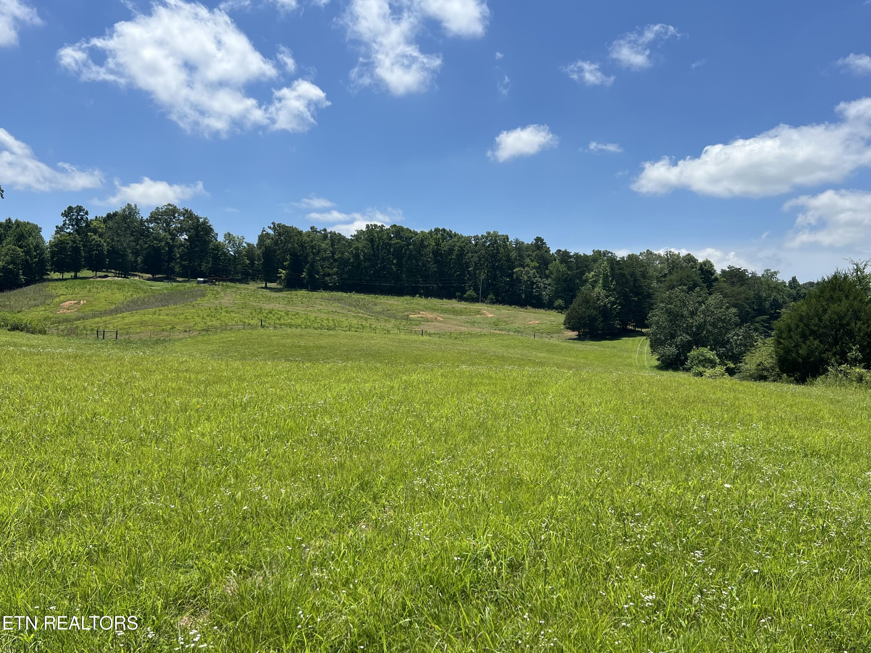 10.1 Acres County Road 757 Riceville TN 37370
