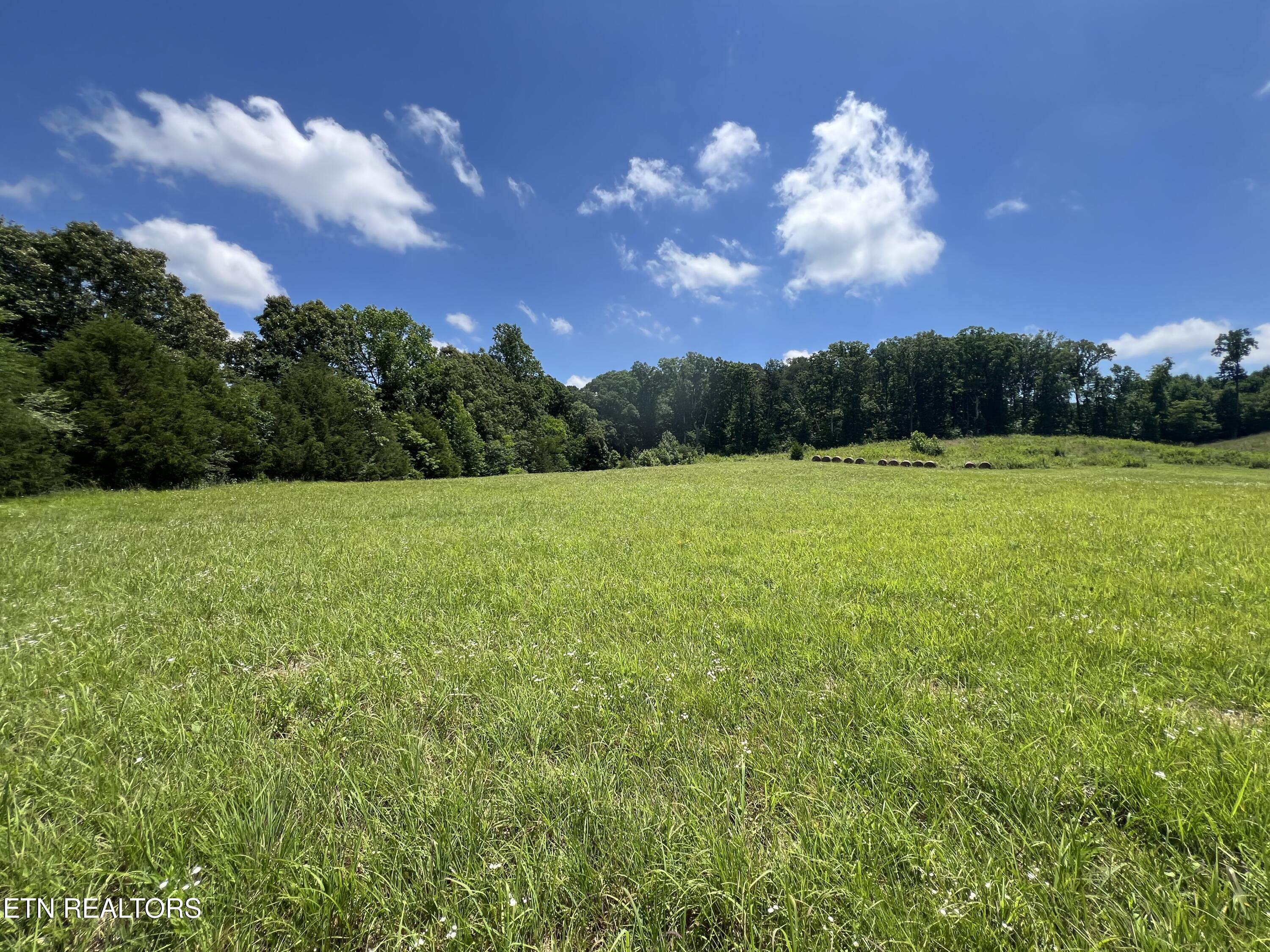 10.1 Acres County Road 757 Riceville TN 37370