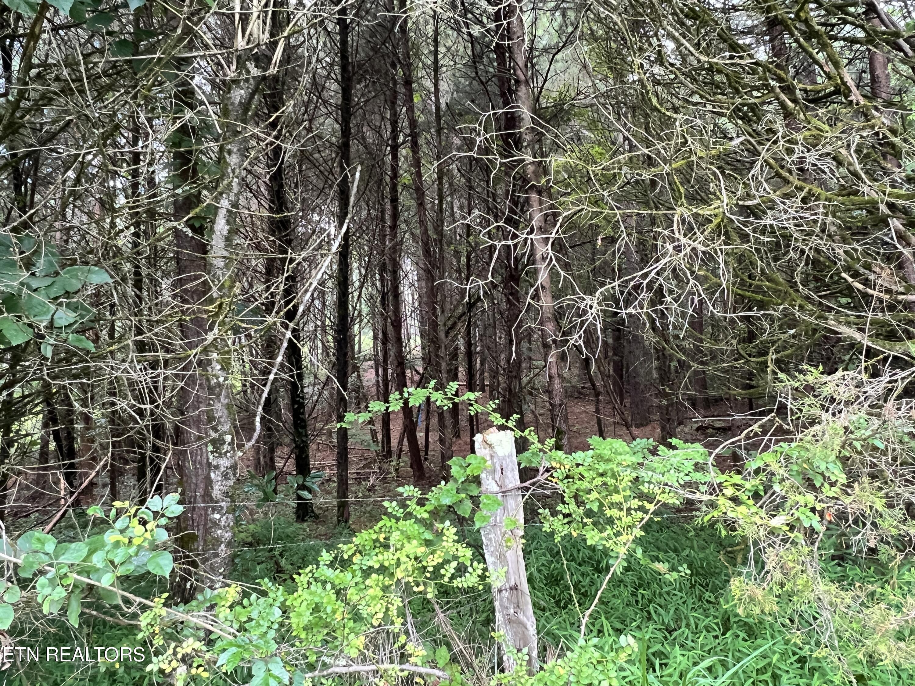 Lot 9 Wiley Prigmore Lane Lane Decatur TN 37322