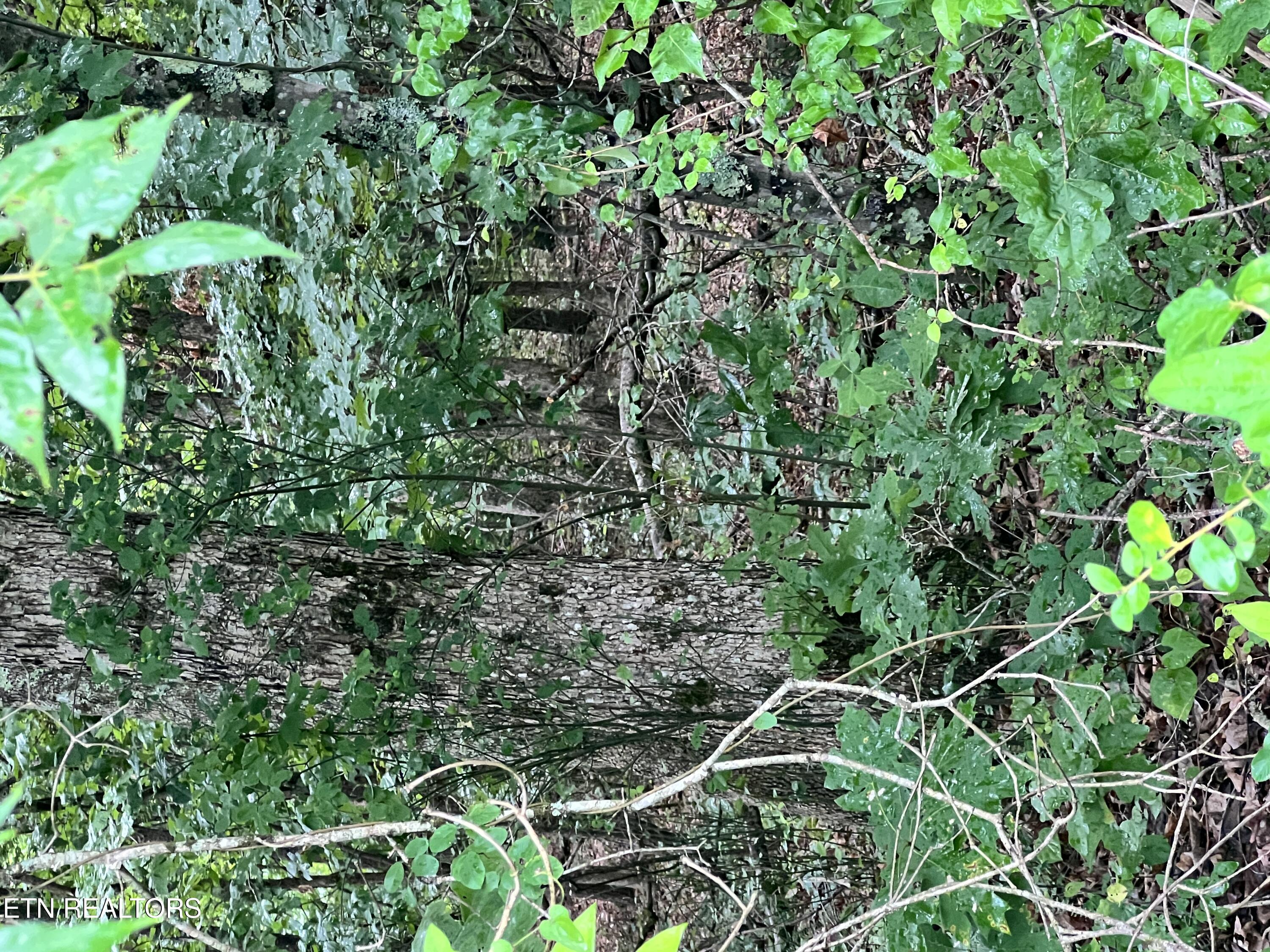 Lot 9 Wiley Prigmore Lane Lane Decatur TN 37322