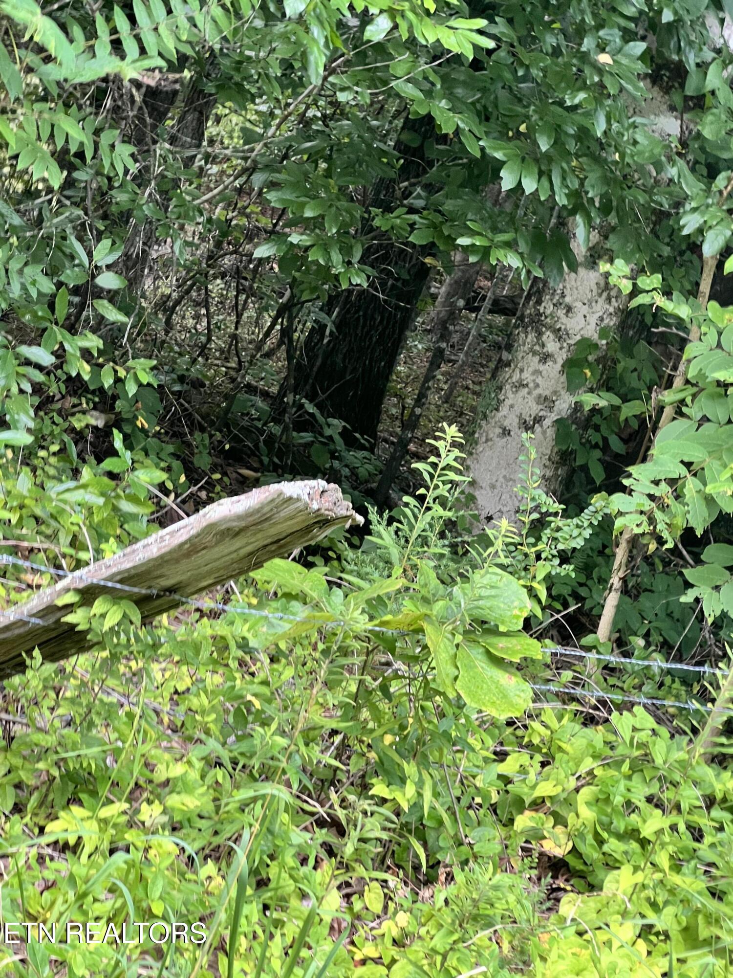 Lot 9 Wiley Prigmore Lane Lane Decatur TN 37322
