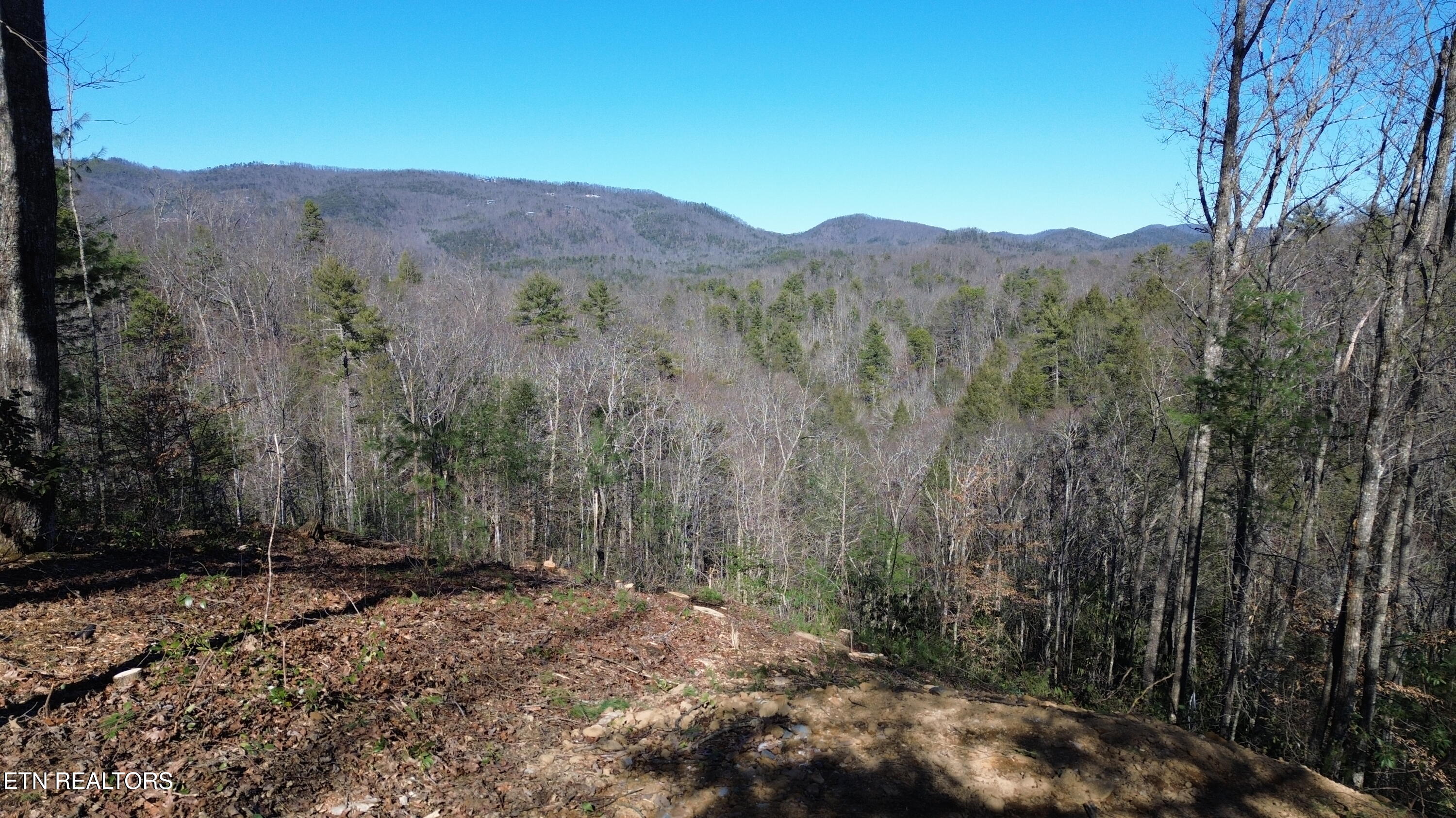 Lot# 6 Journeys End Road Walland TN 37886