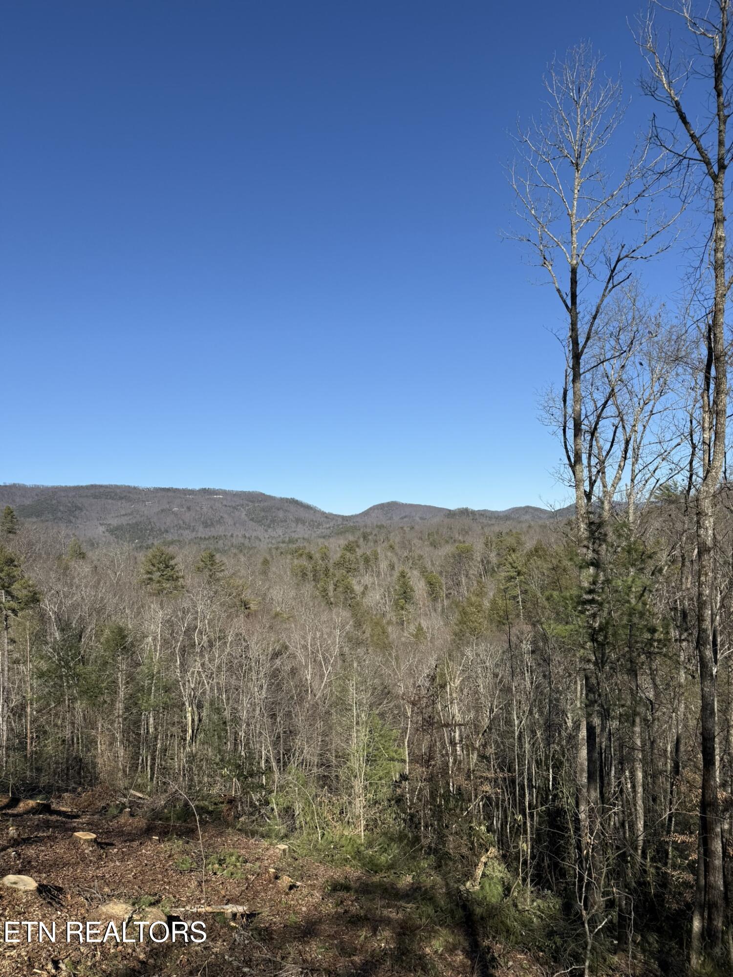 Lot# 6 Journeys End Road Walland TN 37886
